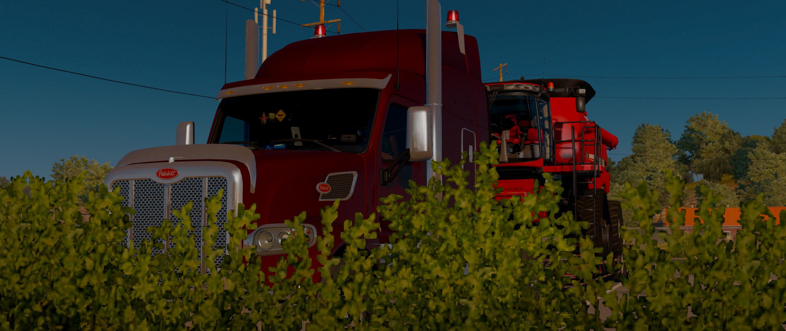 Image by FractalCyclone