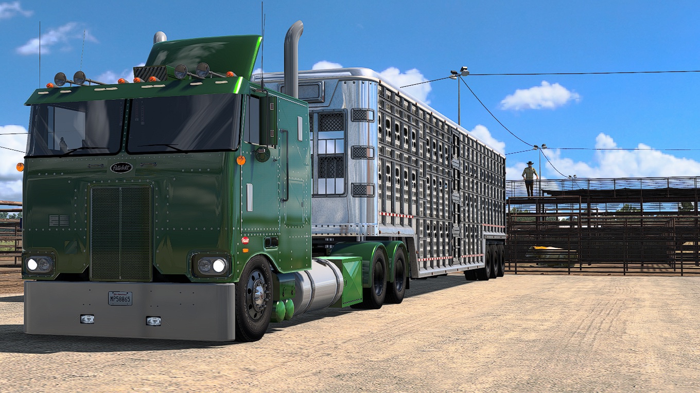 Image by diascheila112