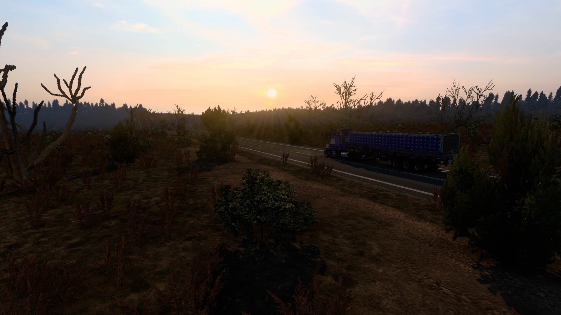Image by DSA3614