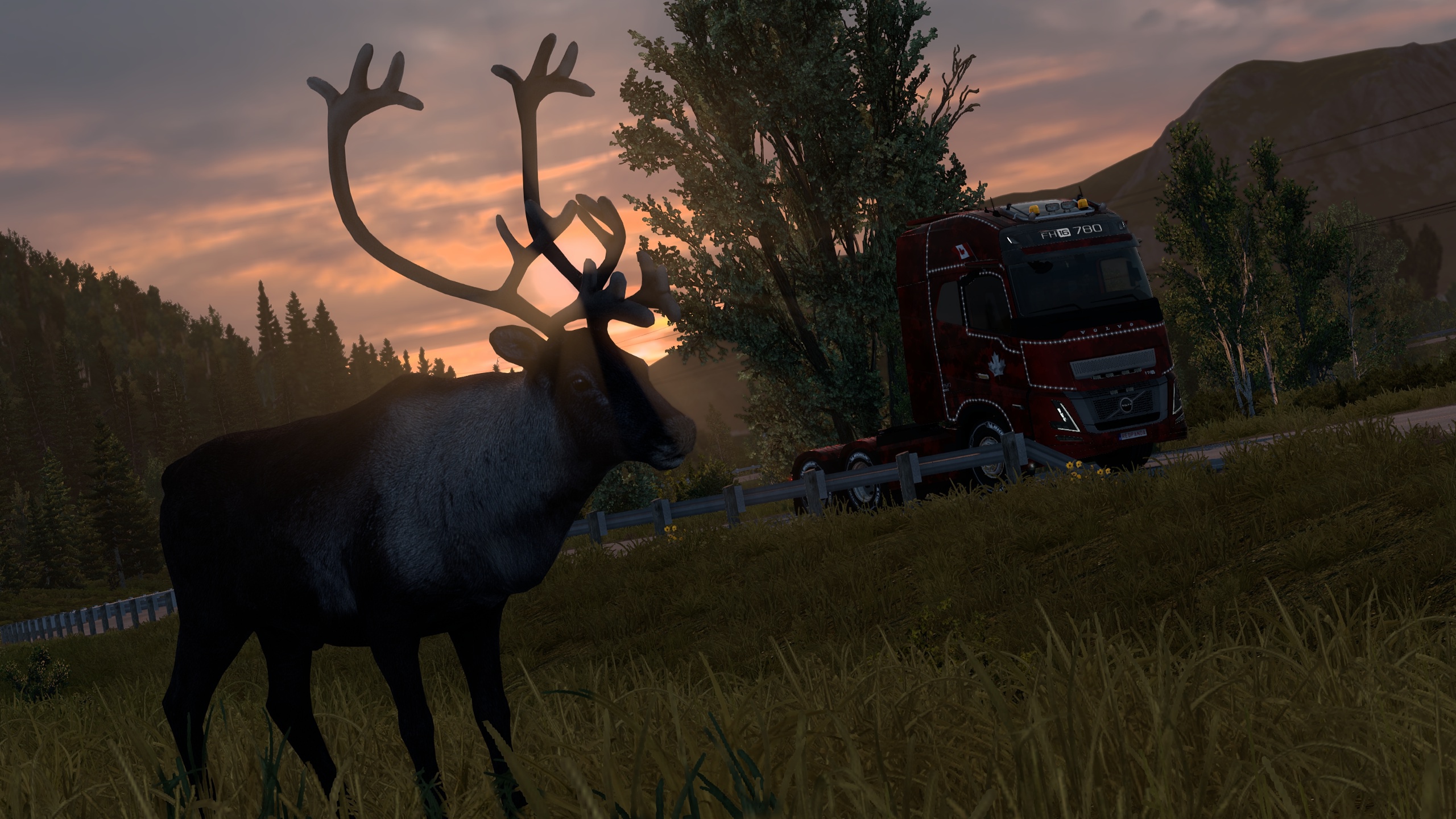 Image by Mr_Maverick