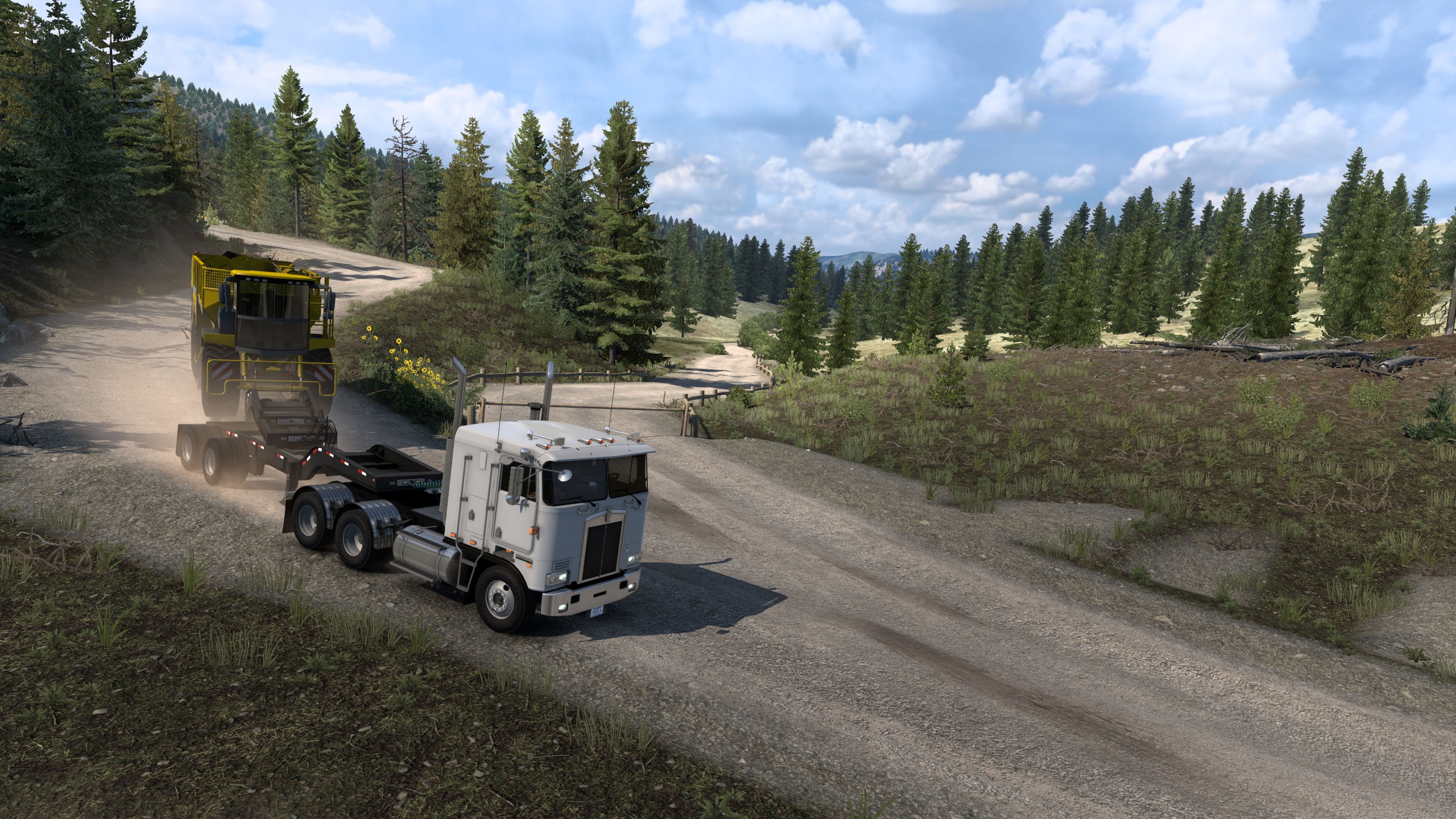 Image by JakiSirtaki