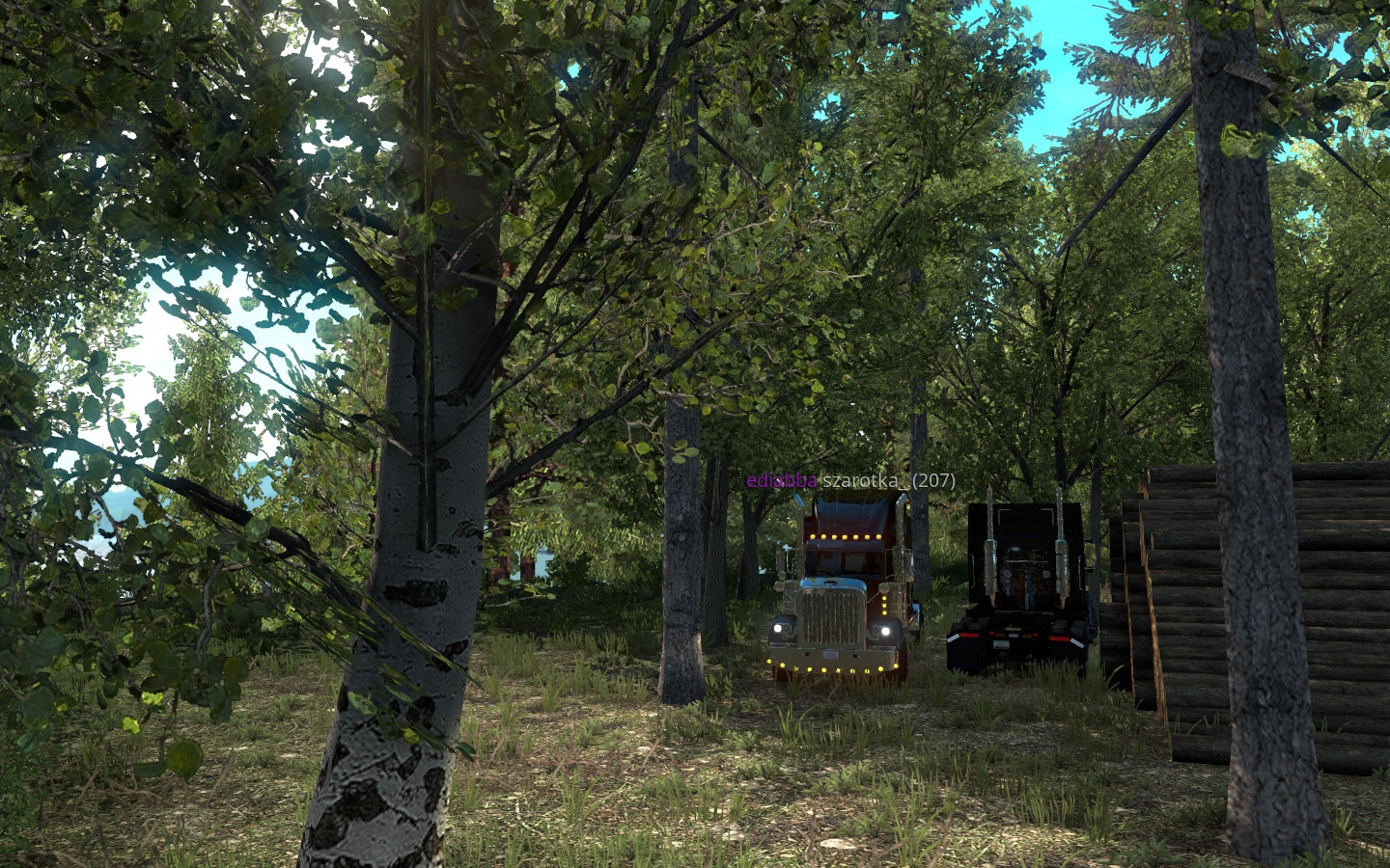 Image by misiaczek145
