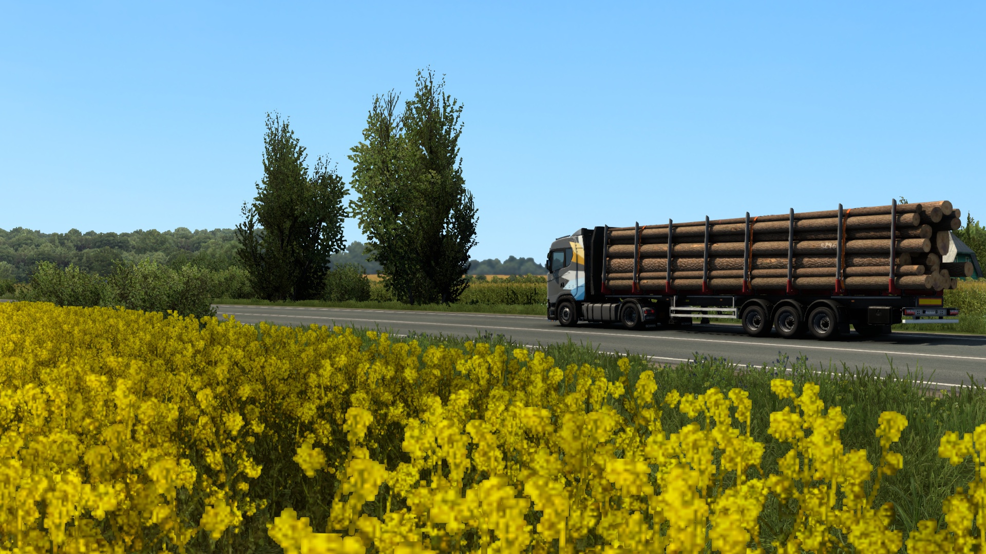 Image by Sturmvoge1