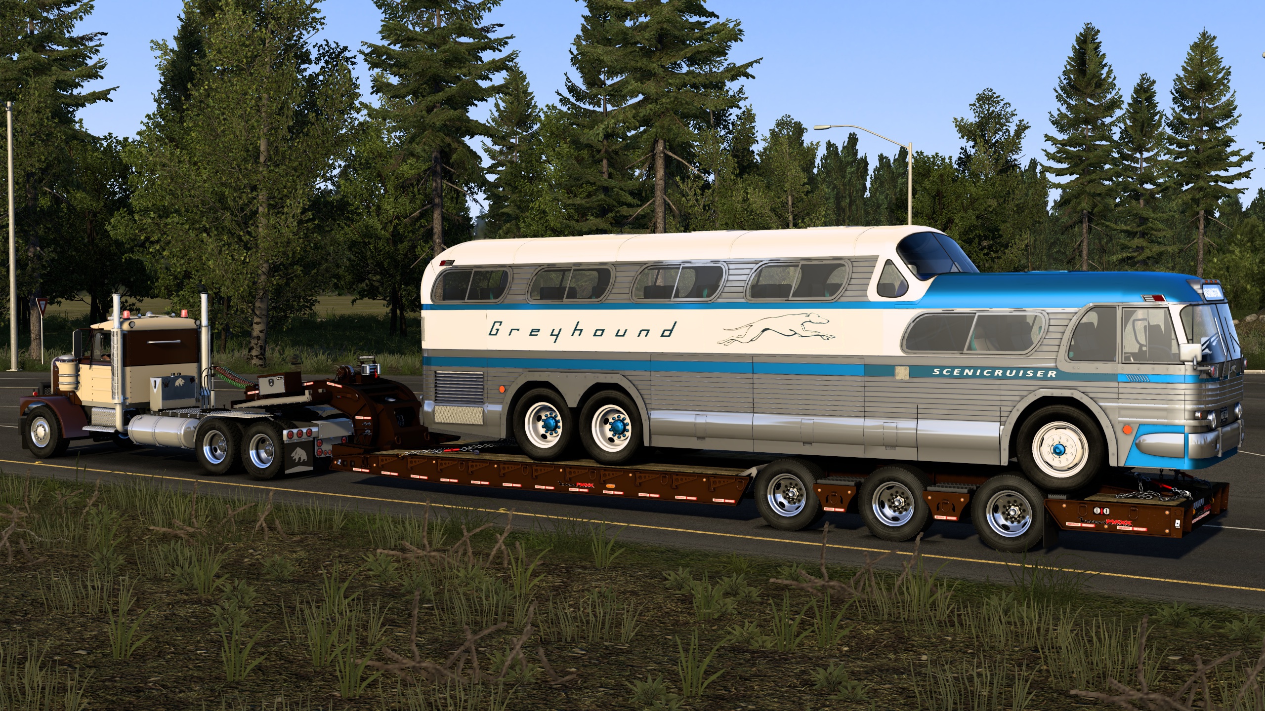 Image by Bearded_Bushman