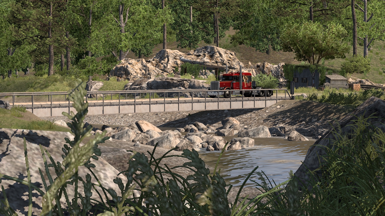 Image by Murica_1776