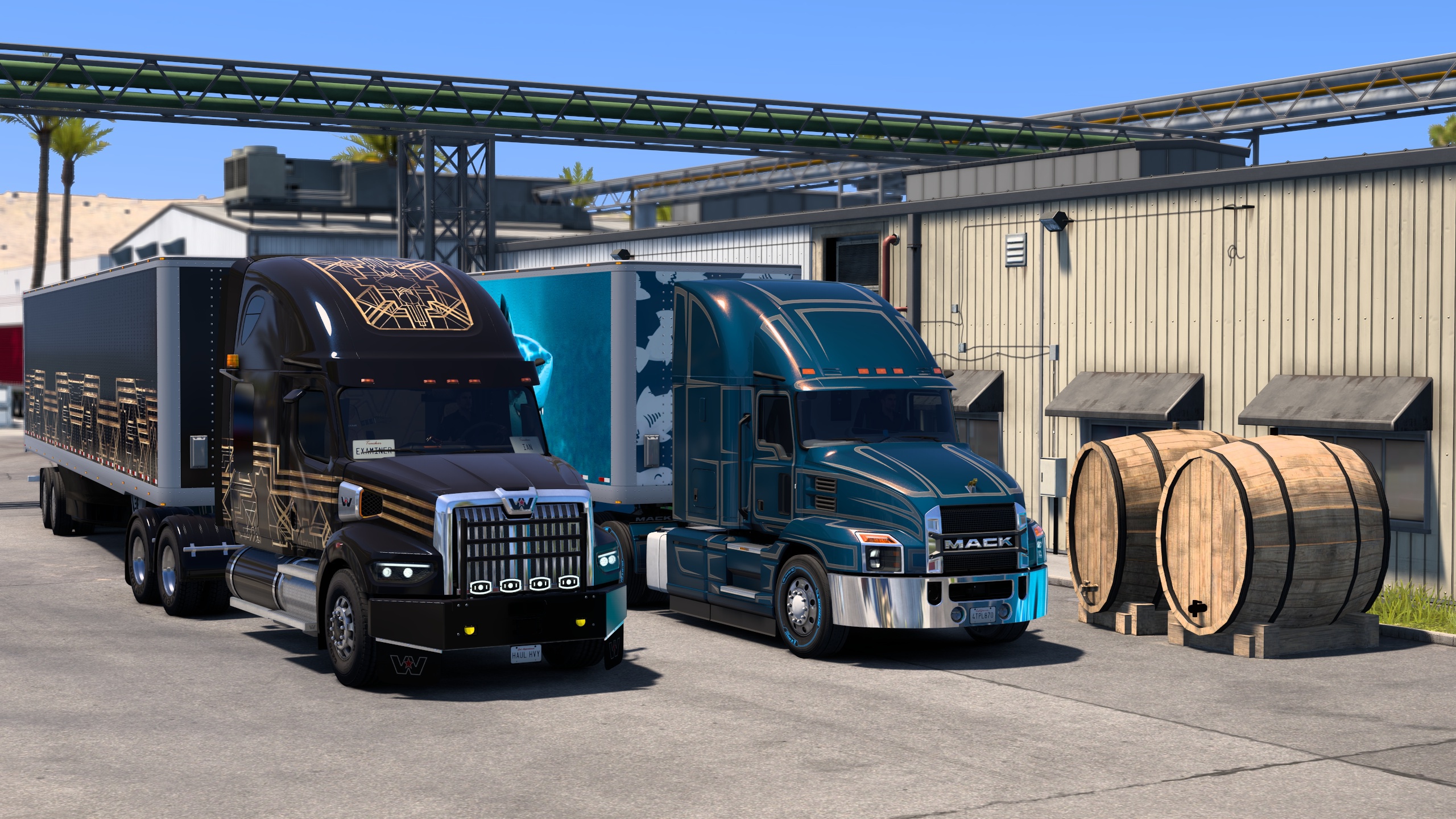 Image by ExaminerIan