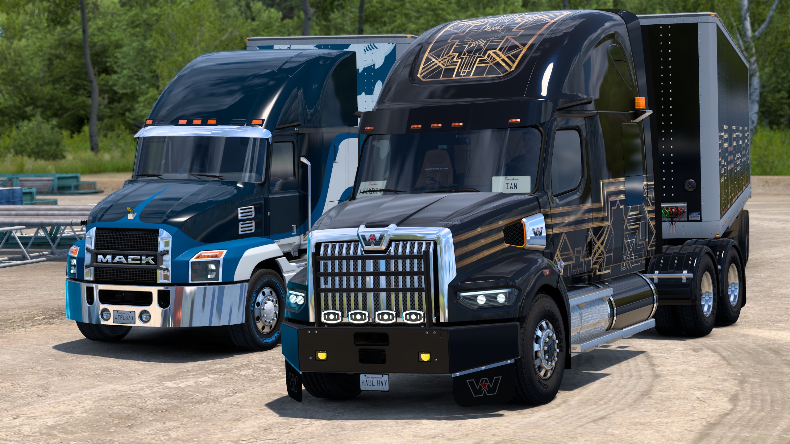 Image by ExaminerIan