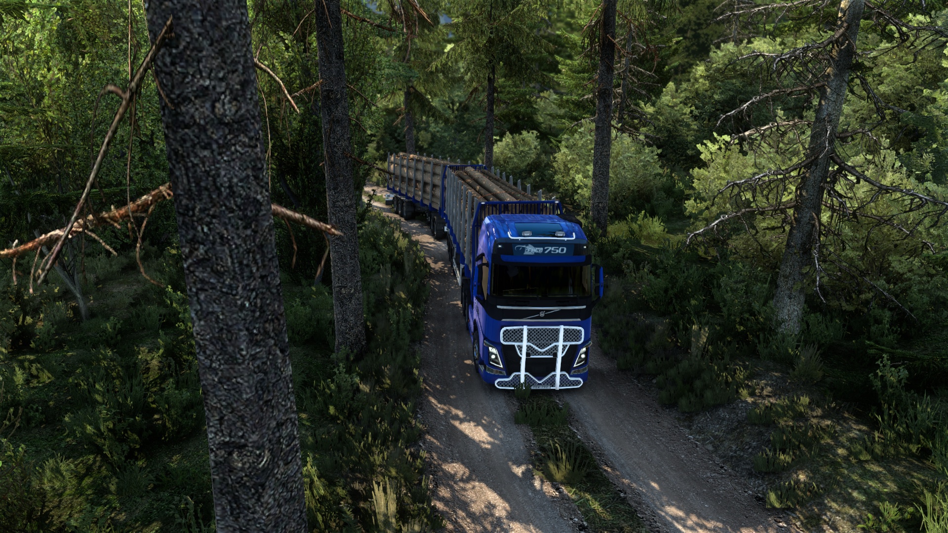 Image by Jet0559