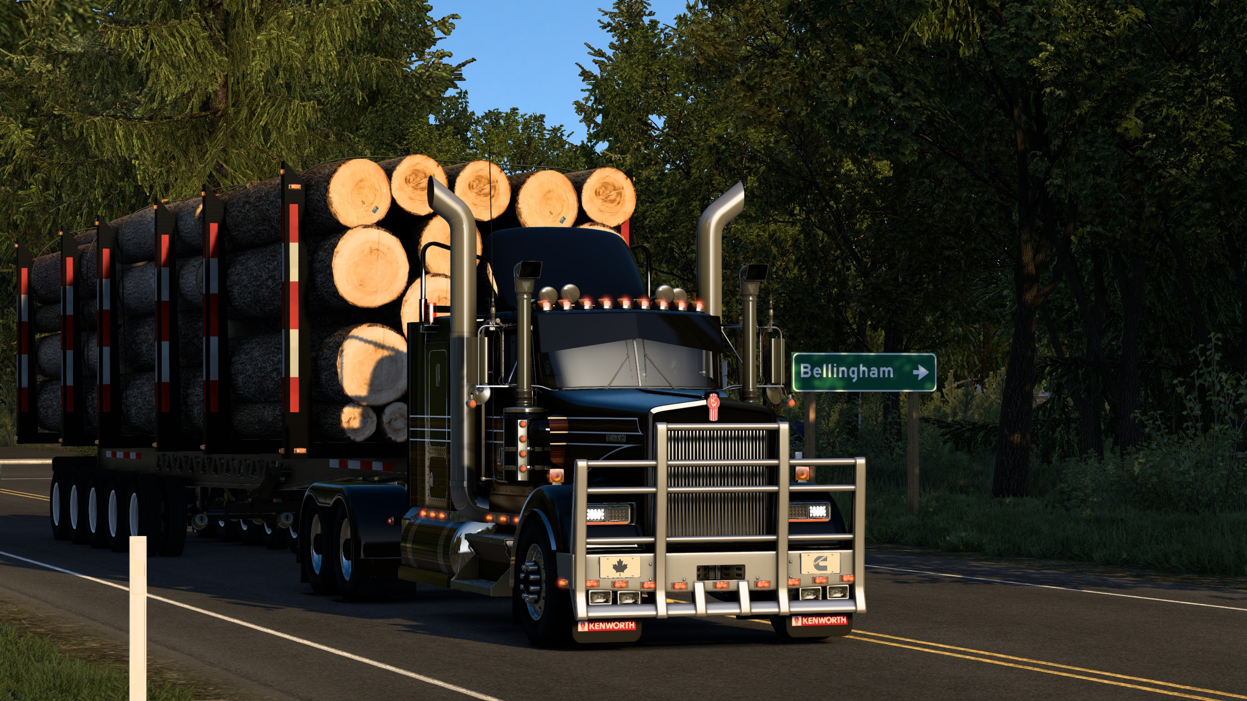 Image by Bearded_Bushman