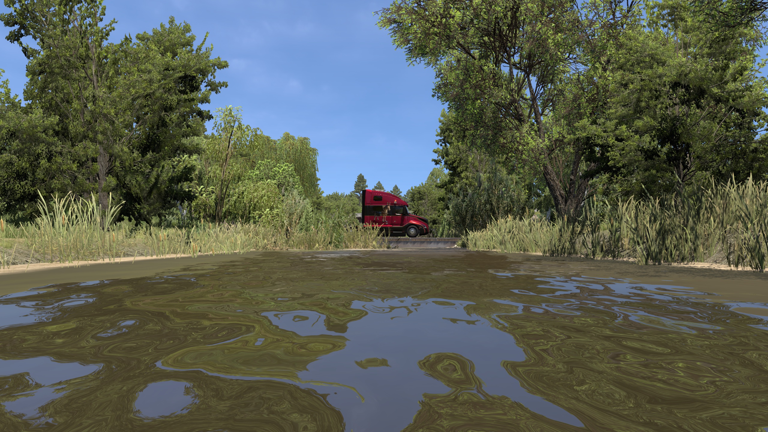 Image by rocky_d_199