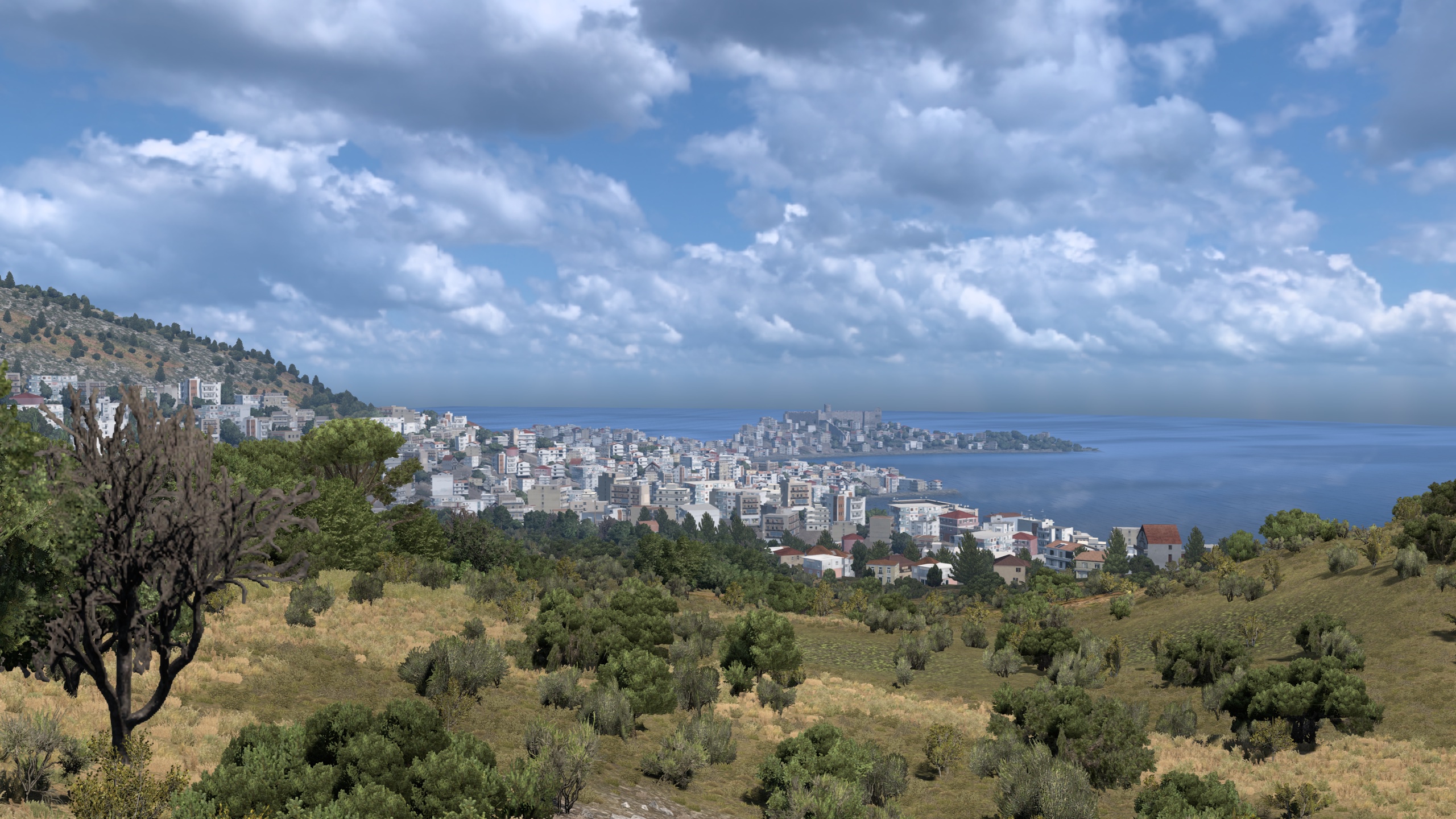 Image by Serg4850