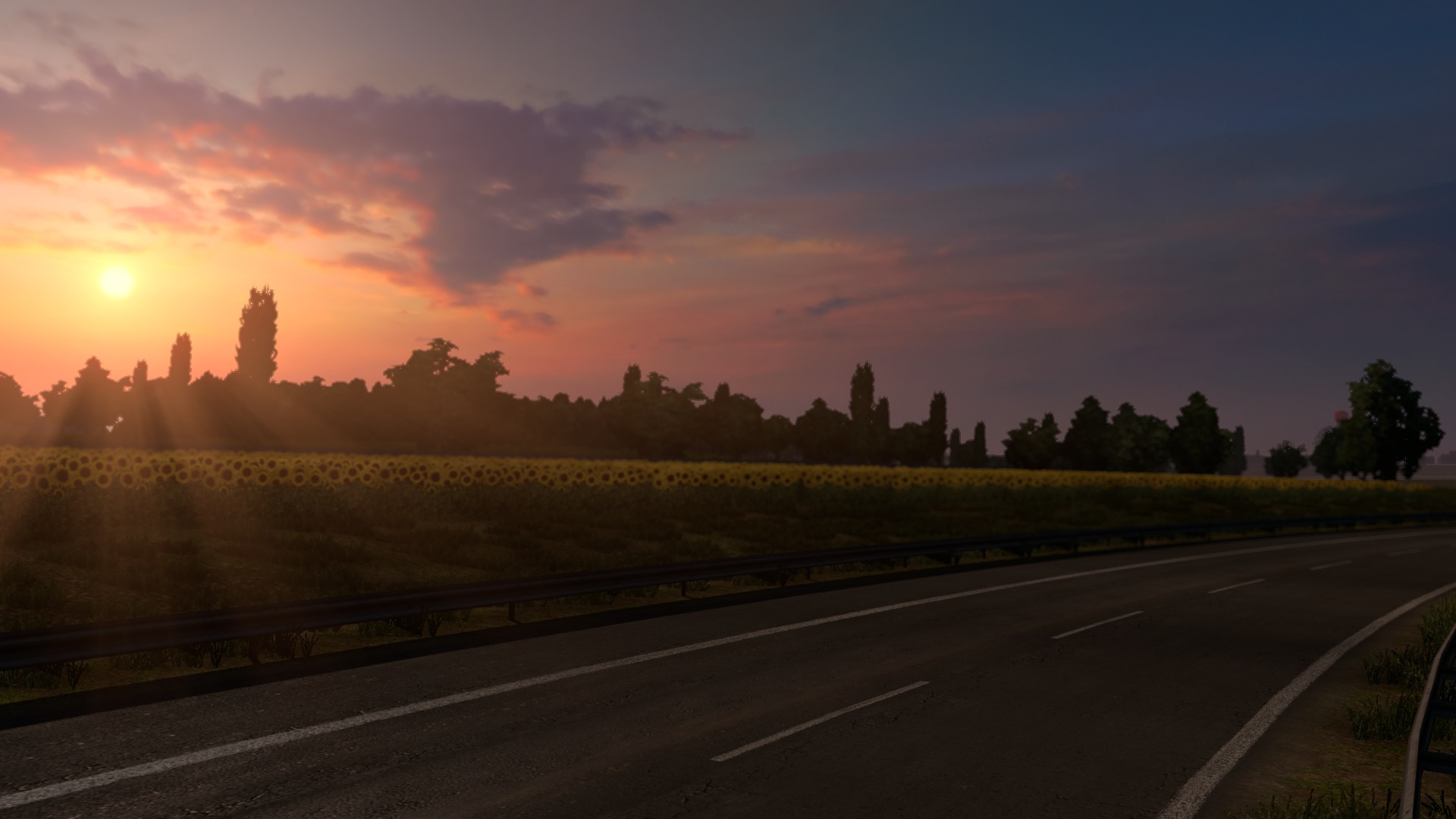 Image by XYG_096A