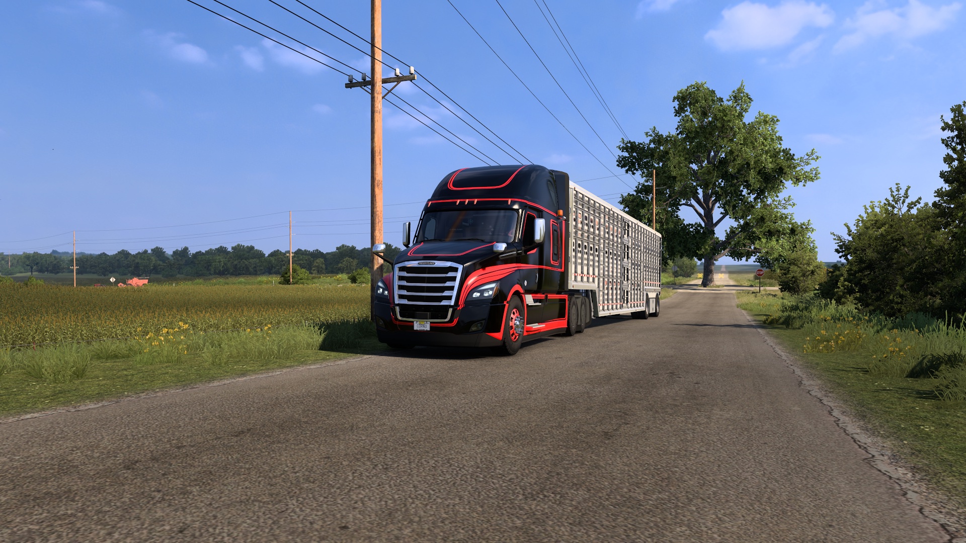 Image by romario_jose_30