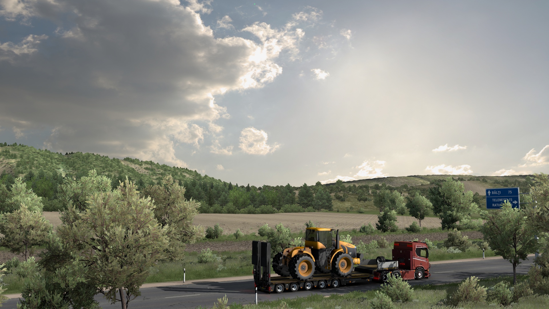 Image by thymenweggemans