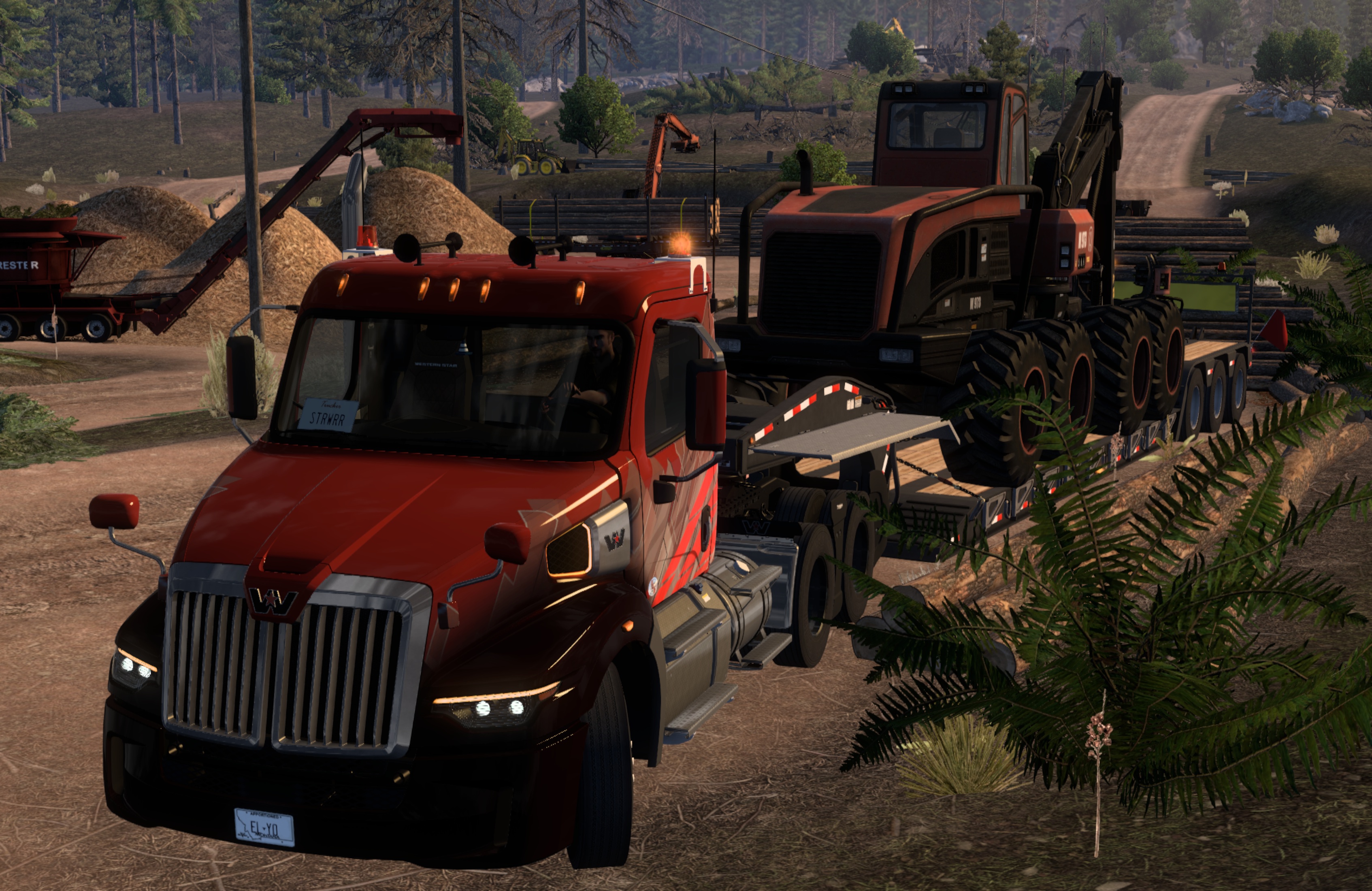 Image by eliahonader