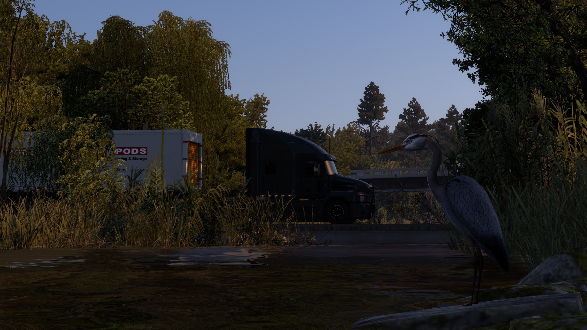 Image by MACCHAN8888