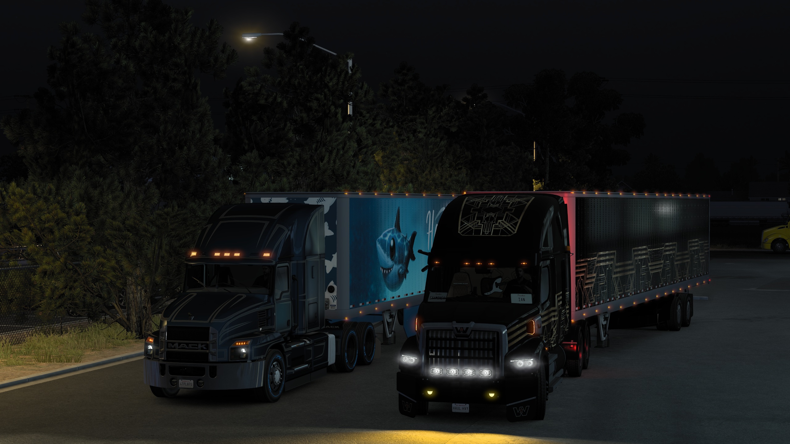 Image by ExaminerIan