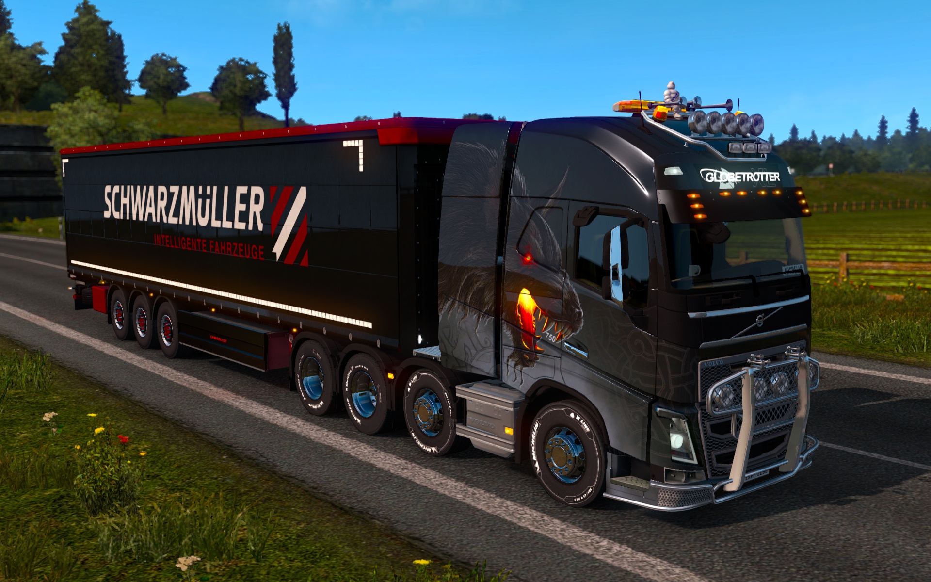 Image by MichelinSurgeon