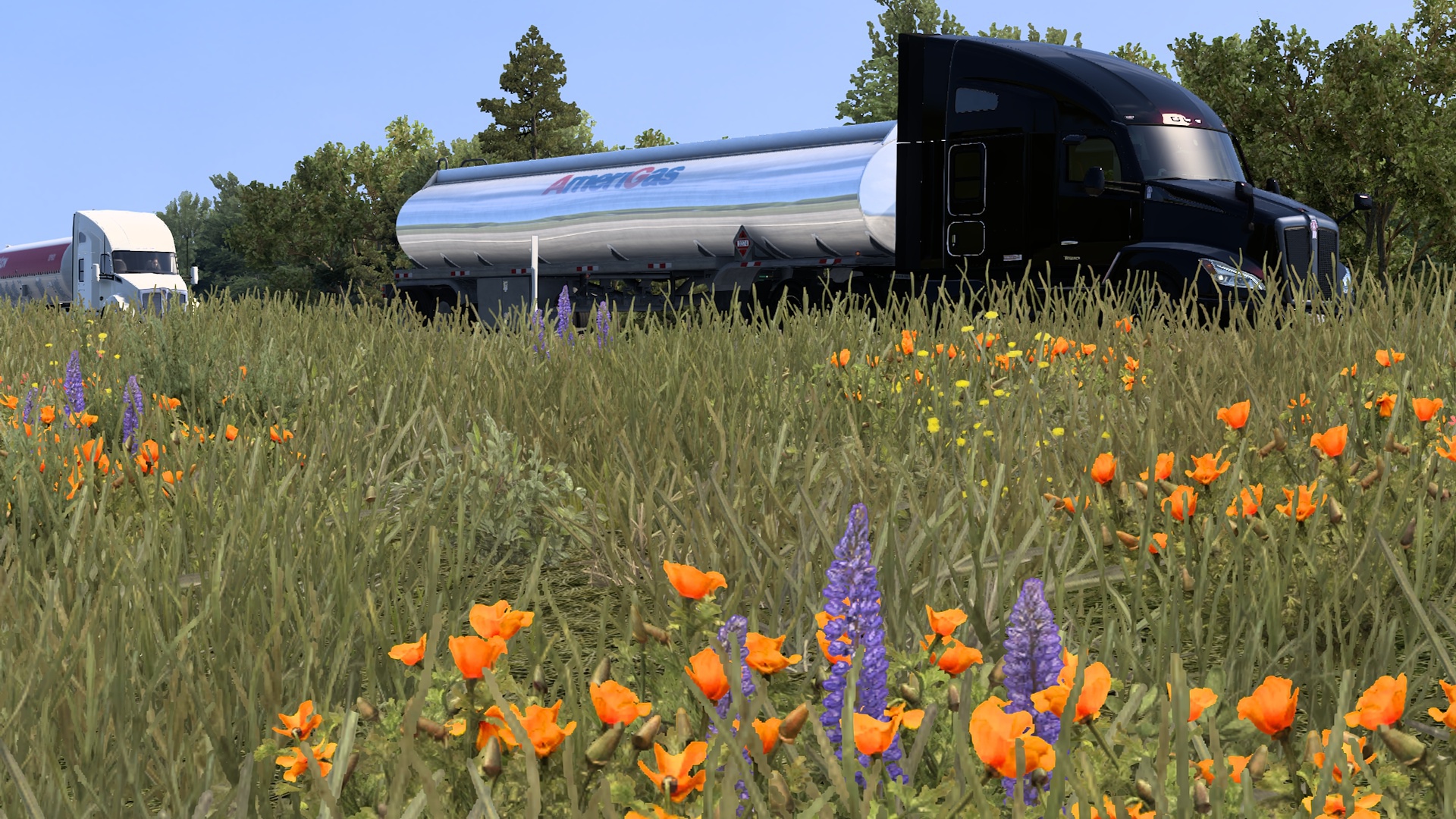 Image by ltn_alberich