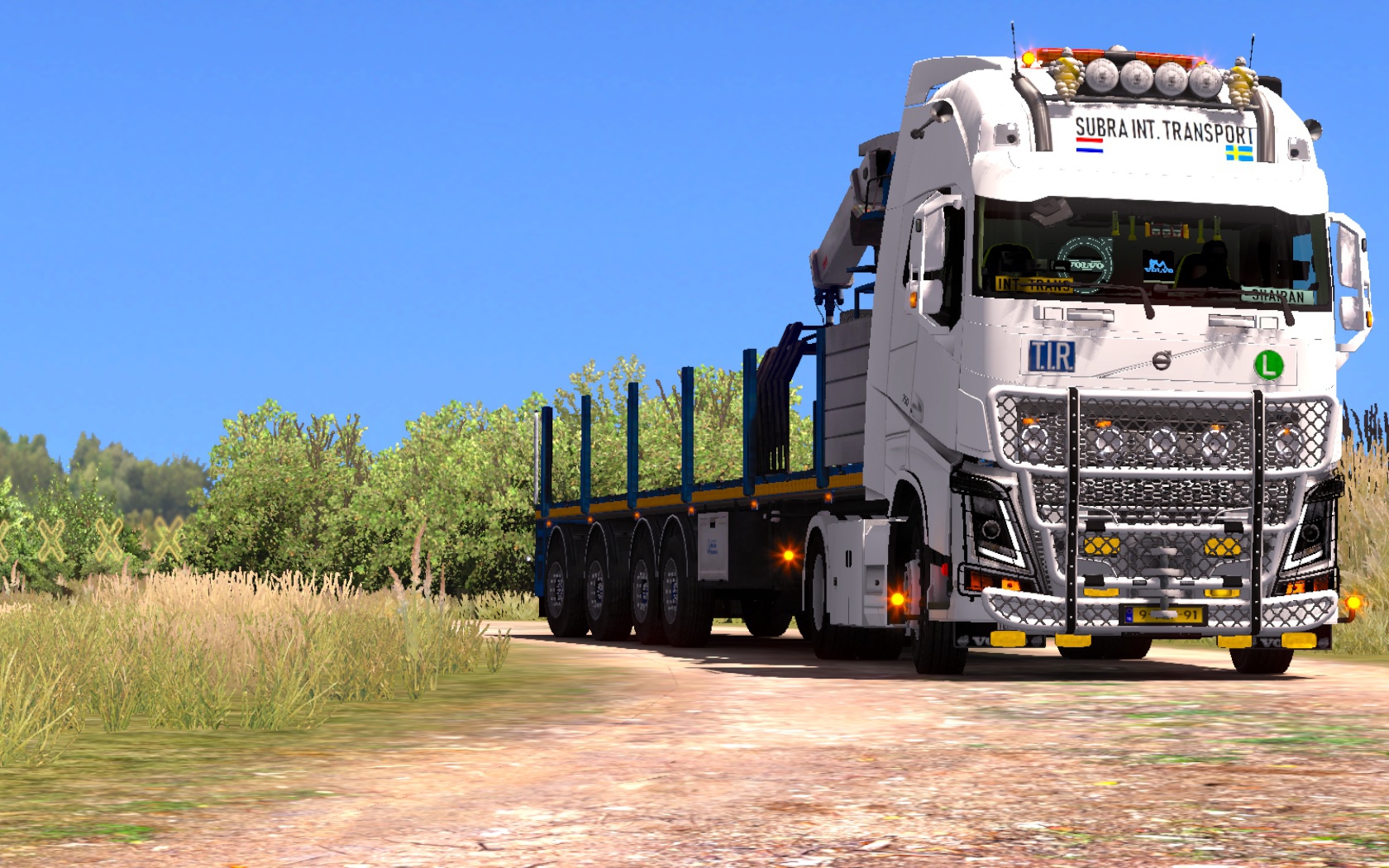 Image by shairanroermond