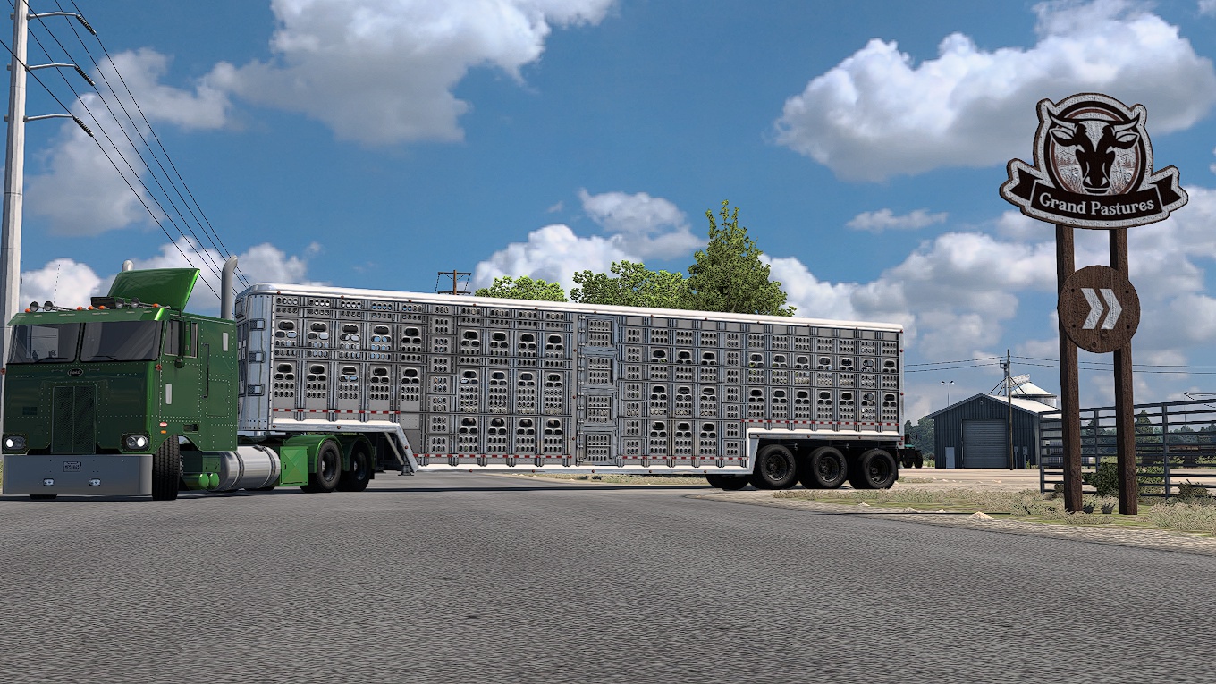 Image by diascheila112