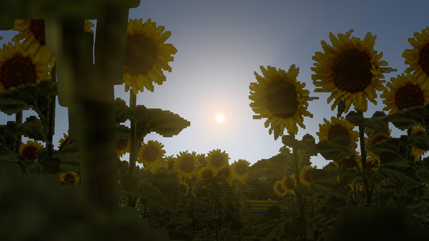 Image by b58h01