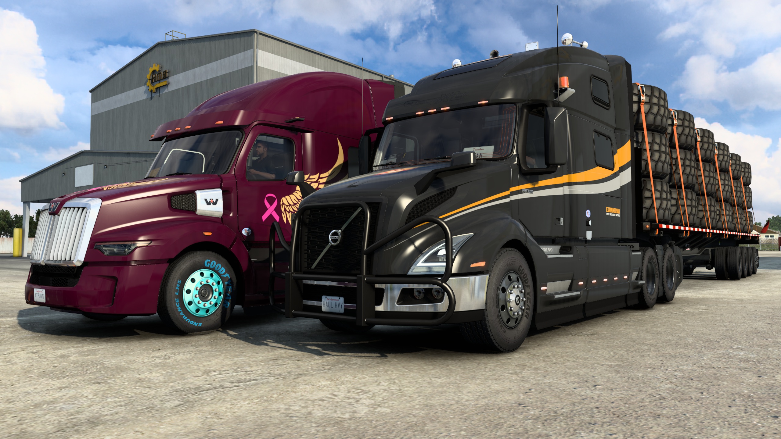 Image by ExaminerIan