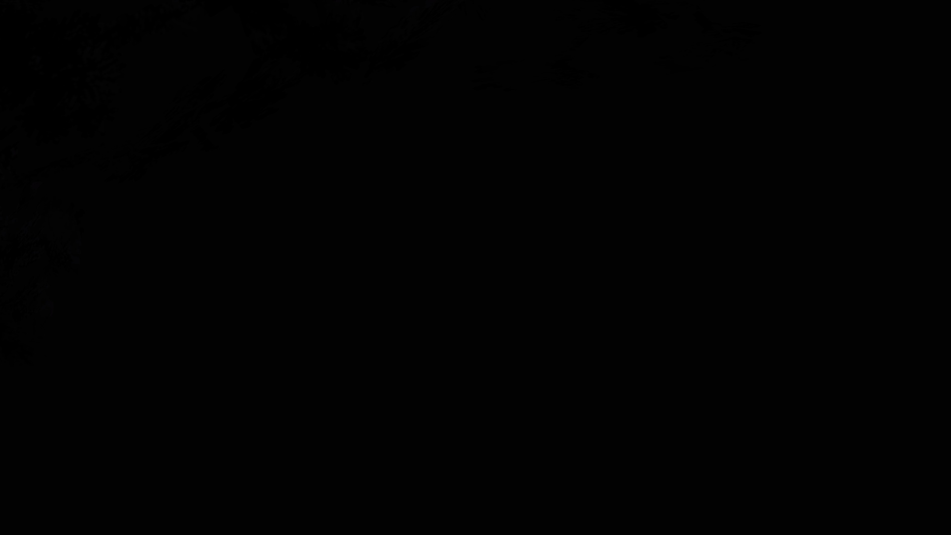 Image by zakyharris456