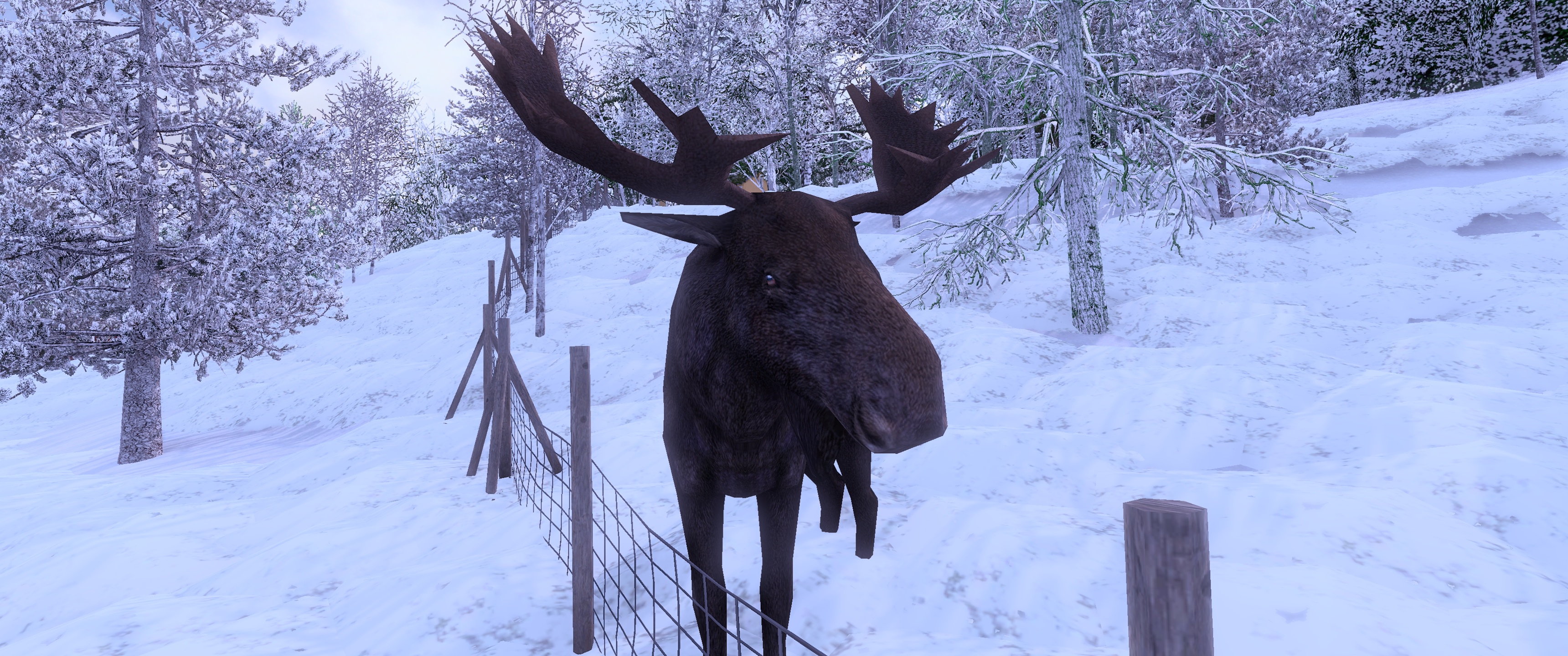 Image by Michael_Stevens