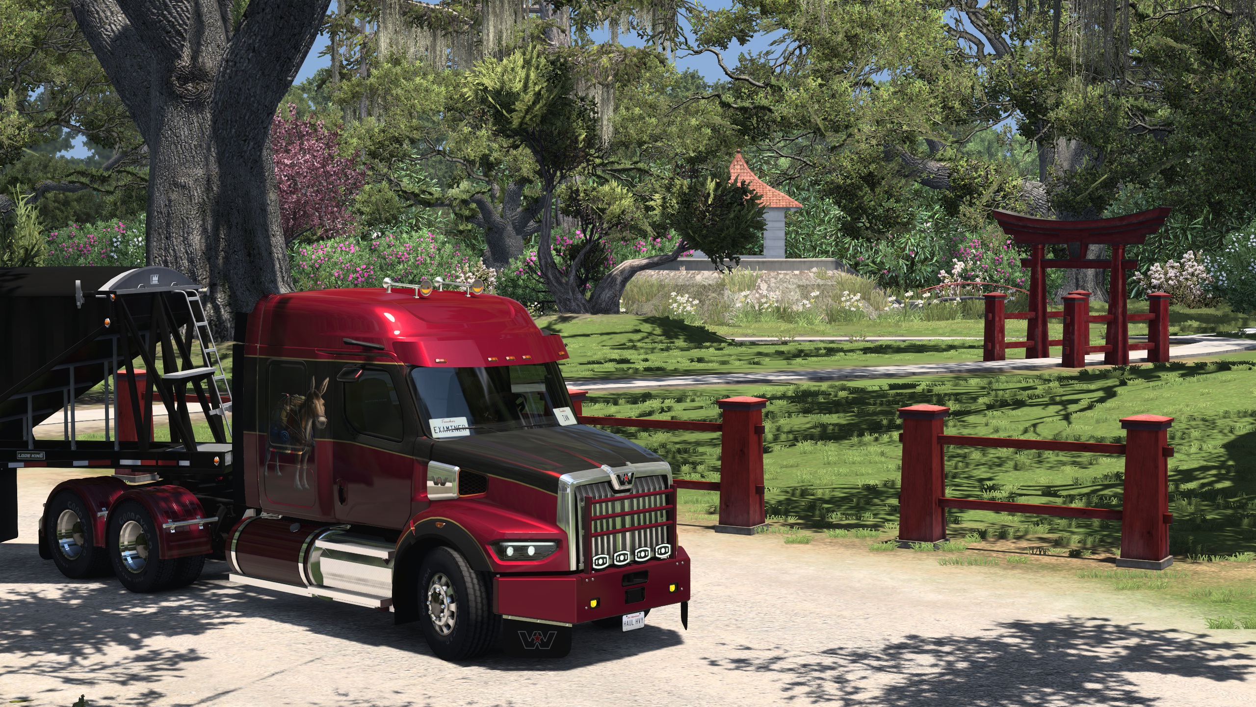 Image by ExaminerIan