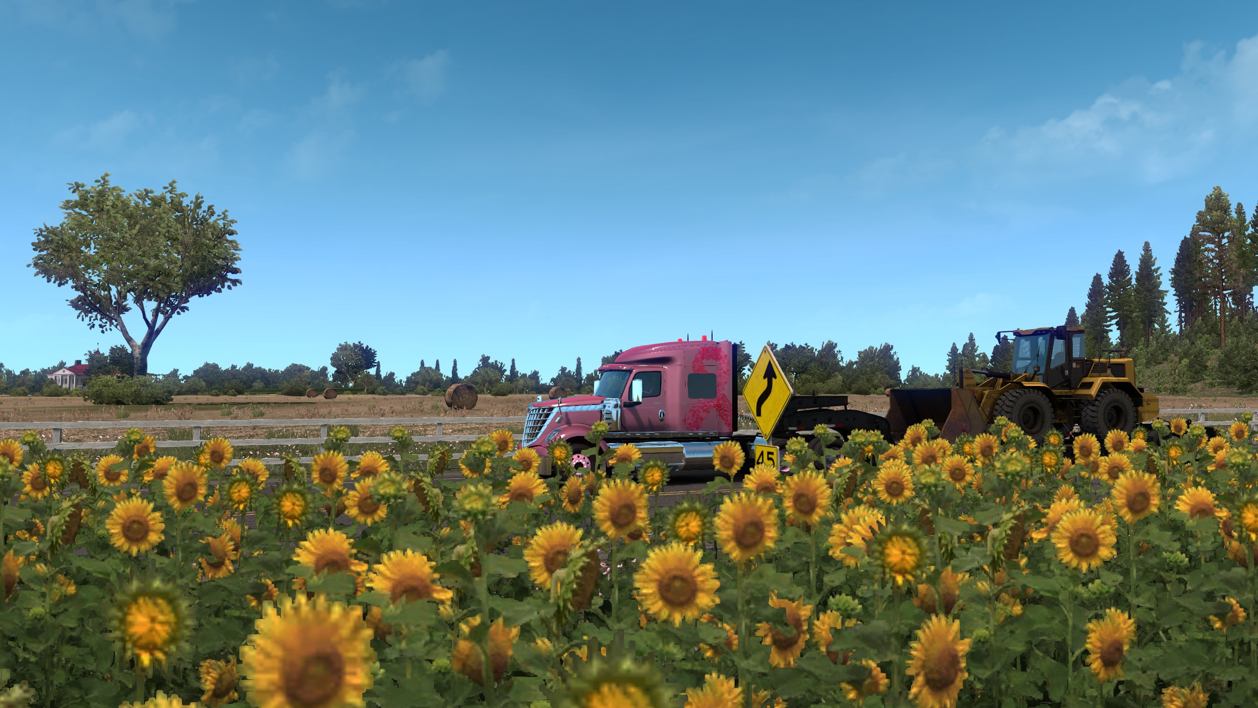 Image by DesertMouse