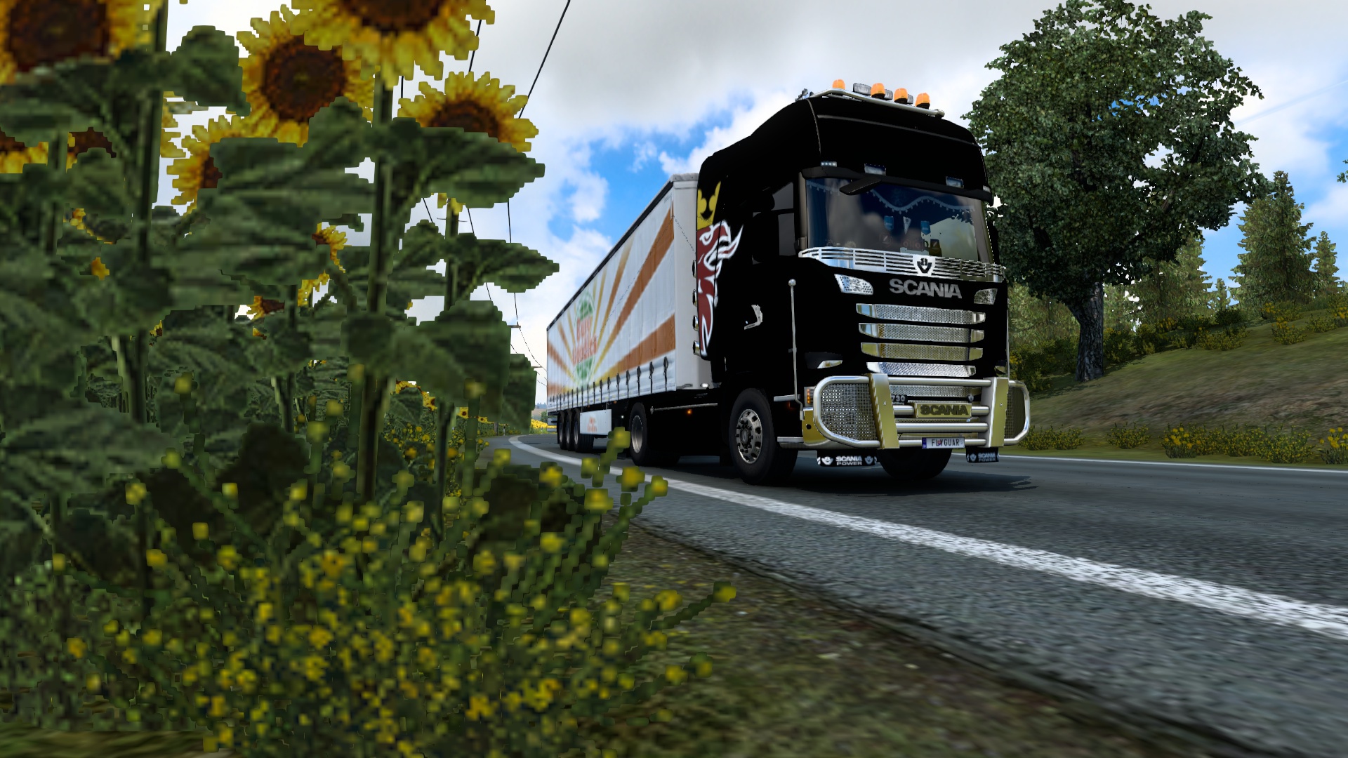 Image by samru47czsk