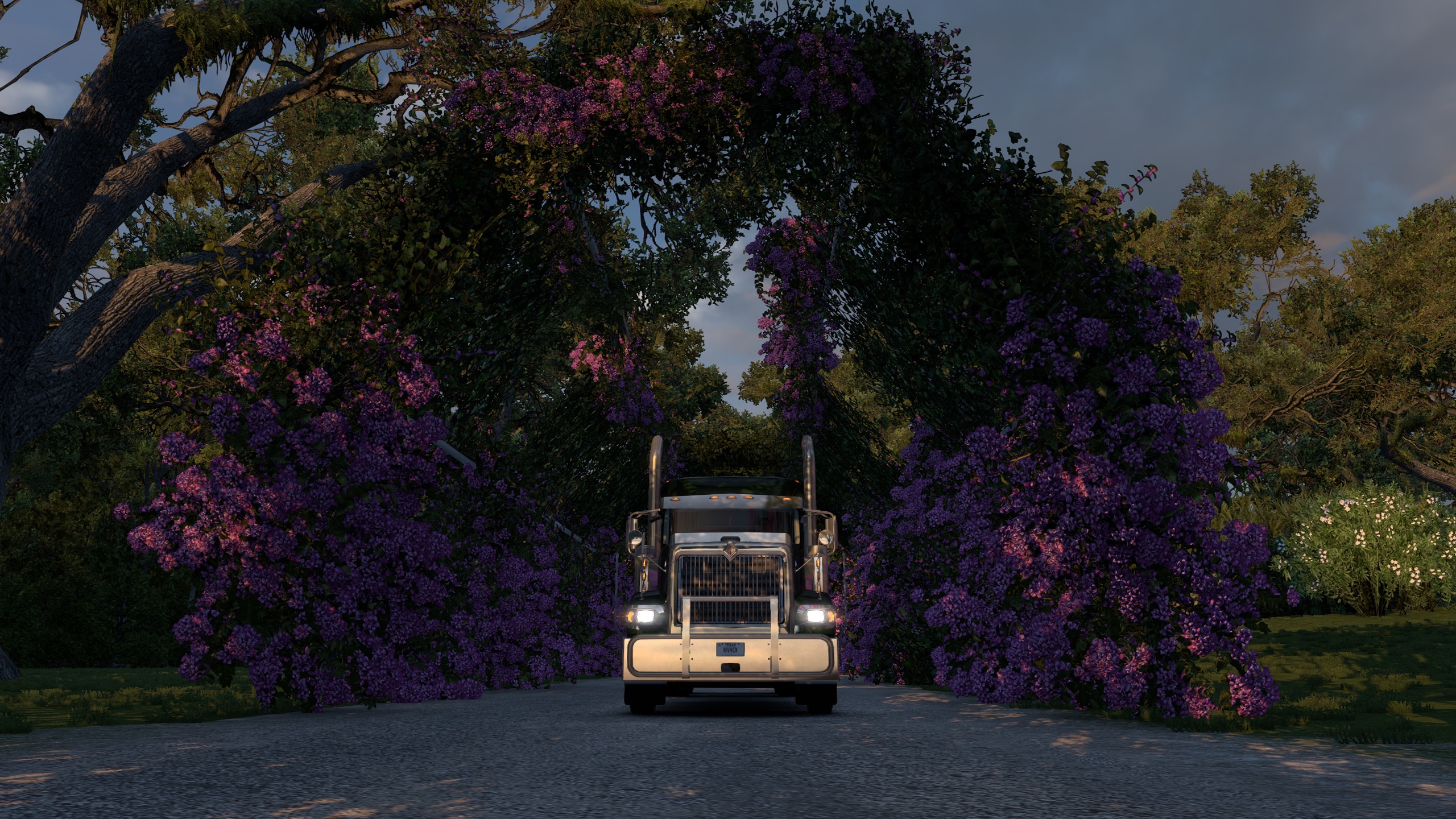 Image by Maverickblue16