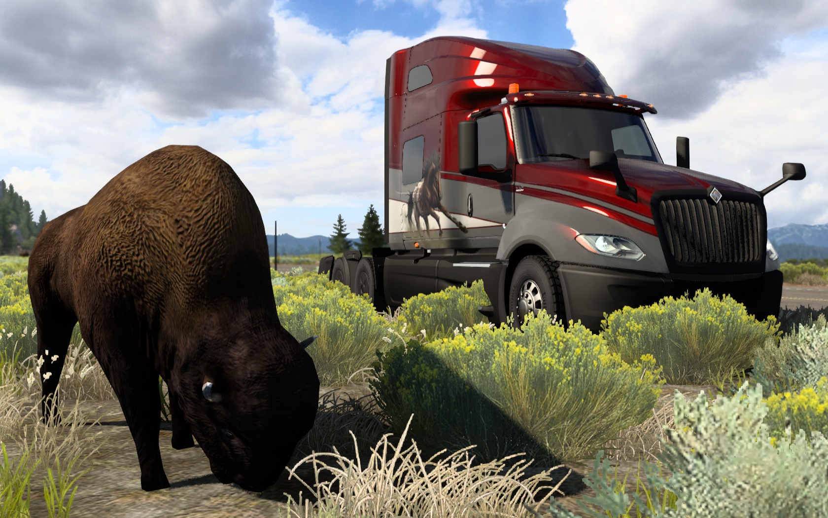 Image by ExaminerIan