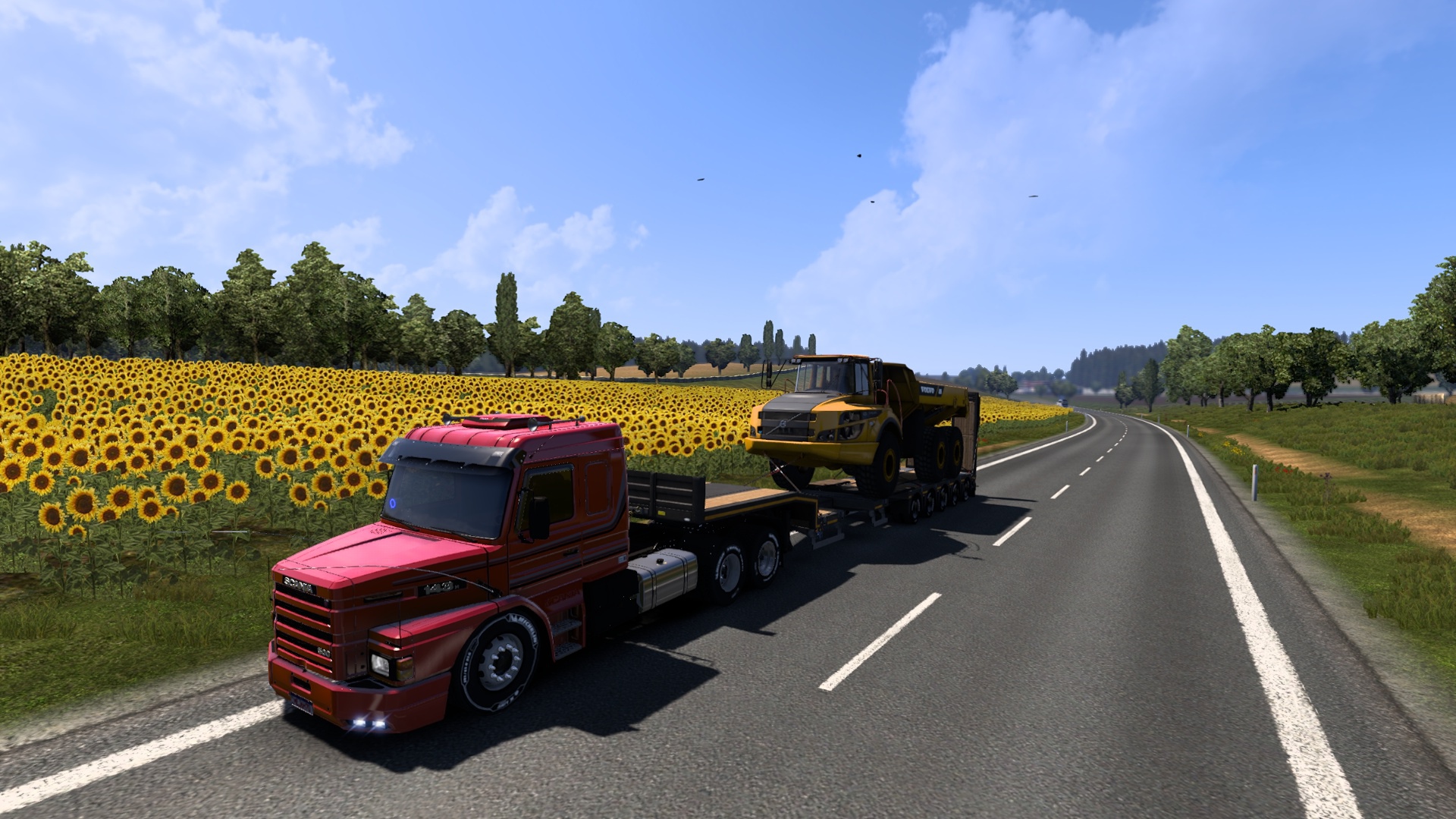 Image by alanosilvapb