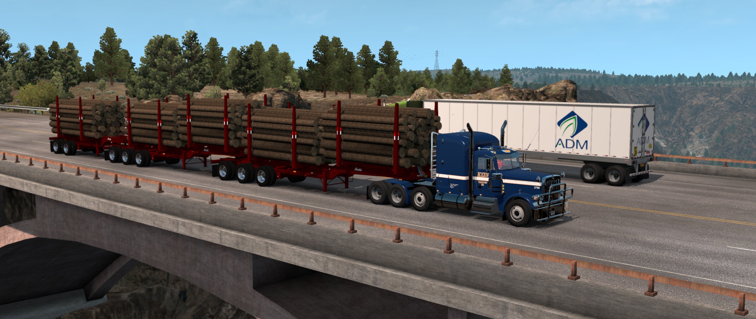 Image by Schmidt1304