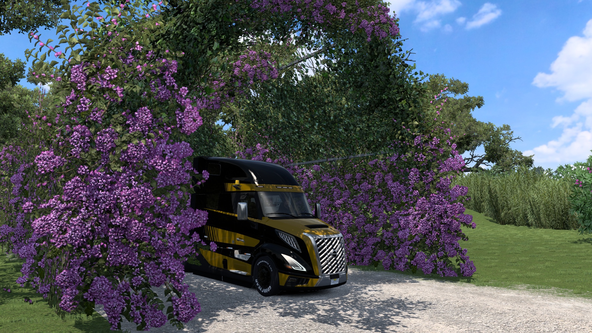 Image by Arno31