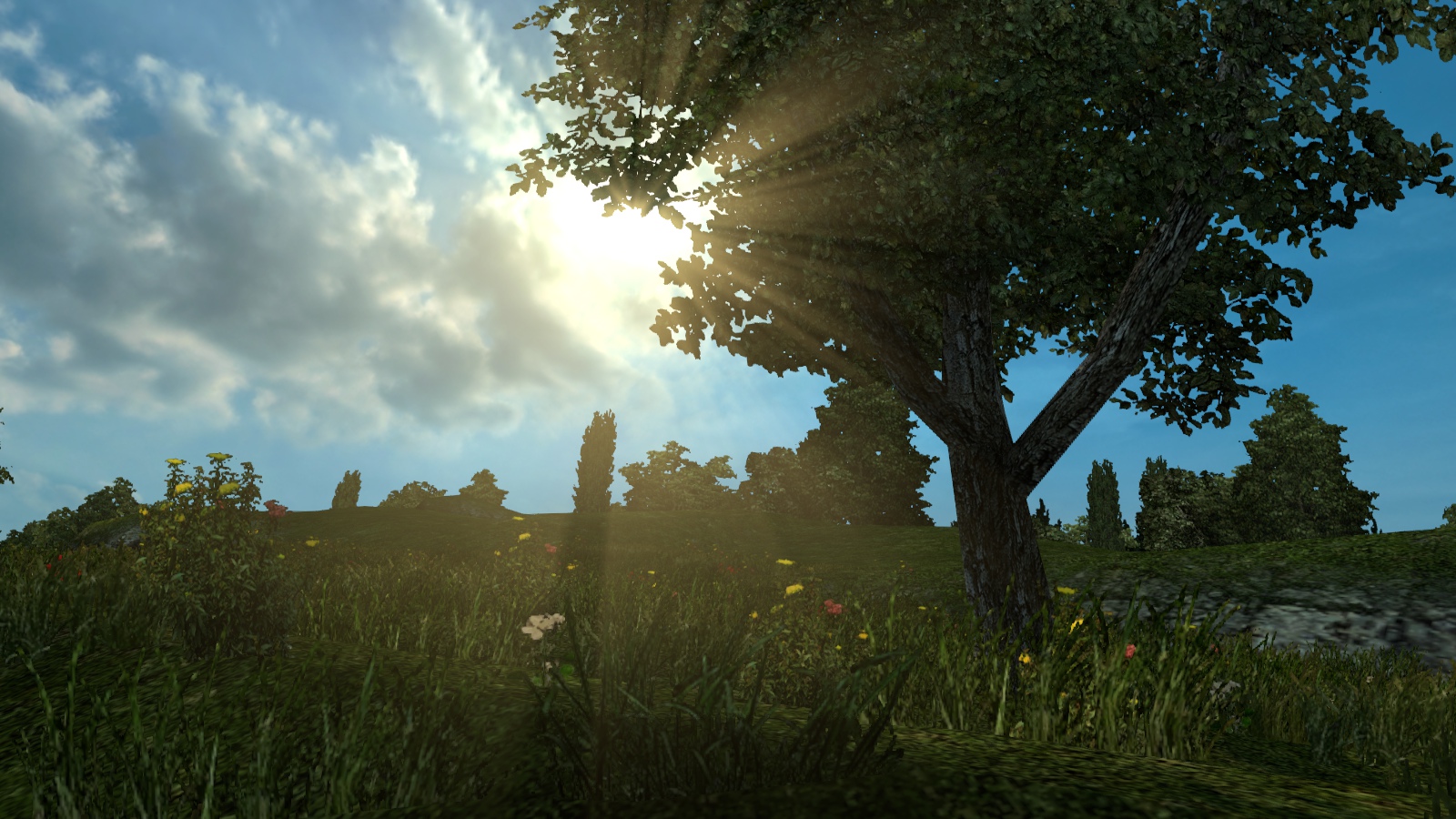 Image by Shaman__nik