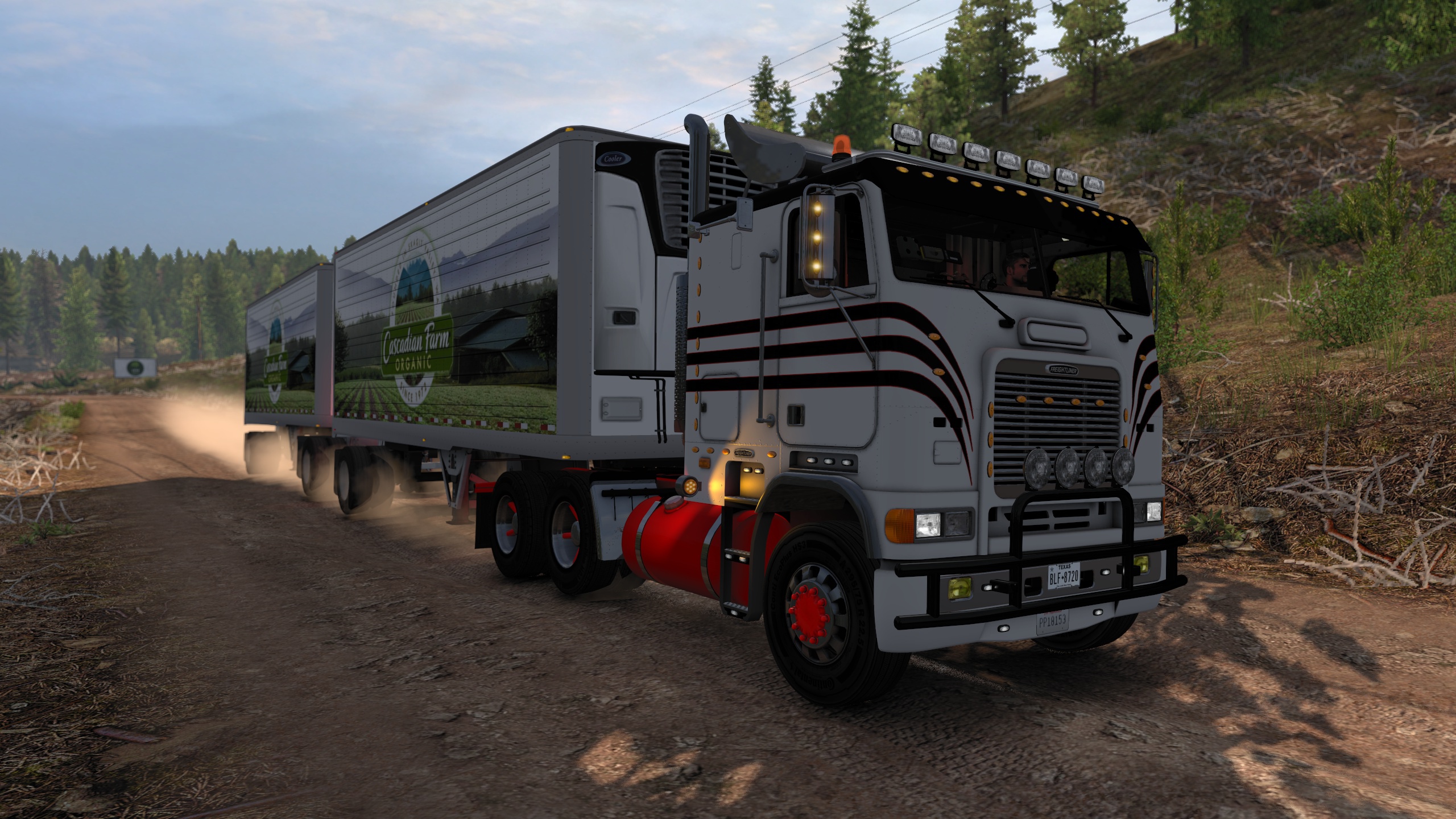 Image by WecZerNicZeK