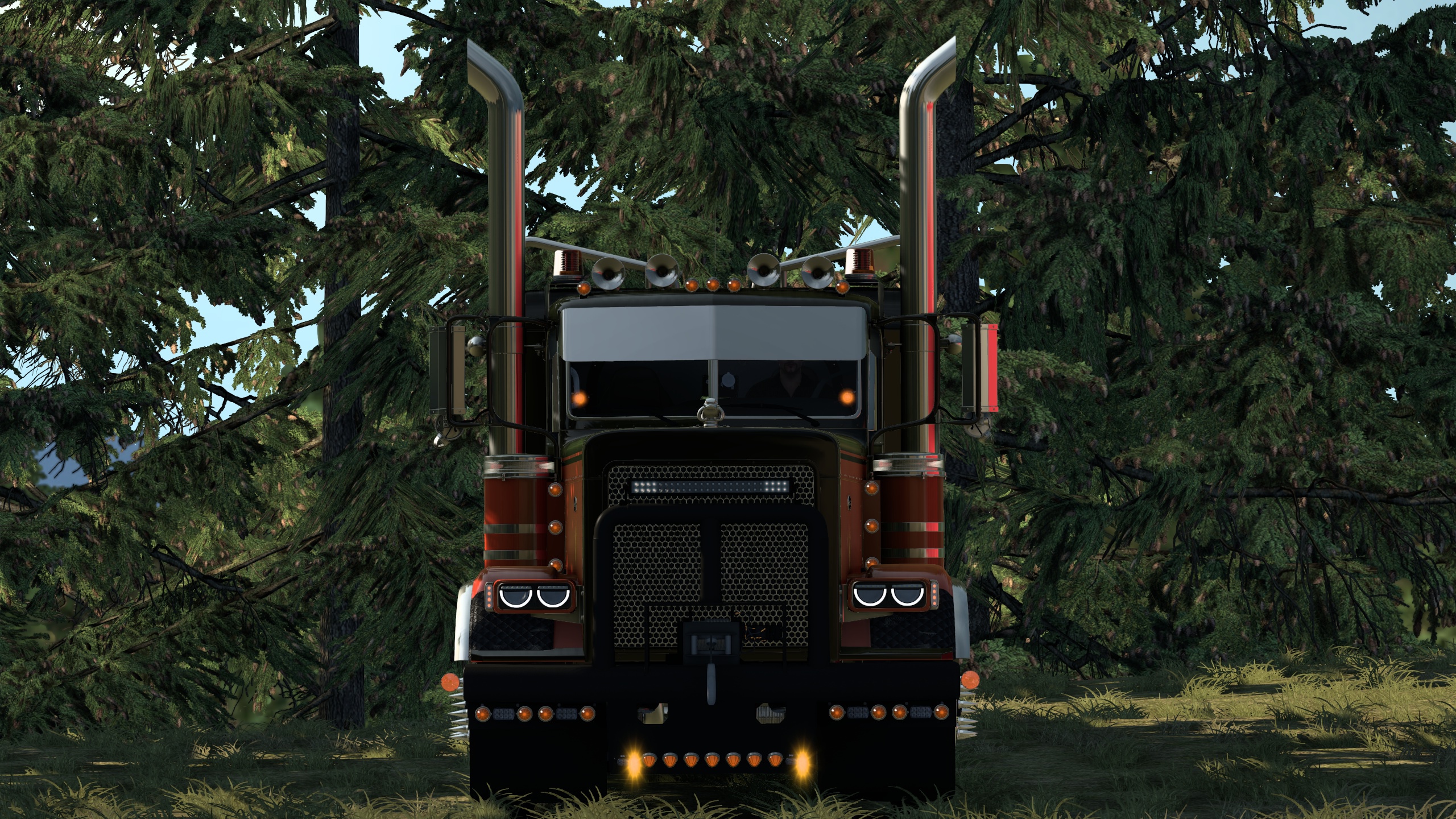 Image by Bearded_Bushman