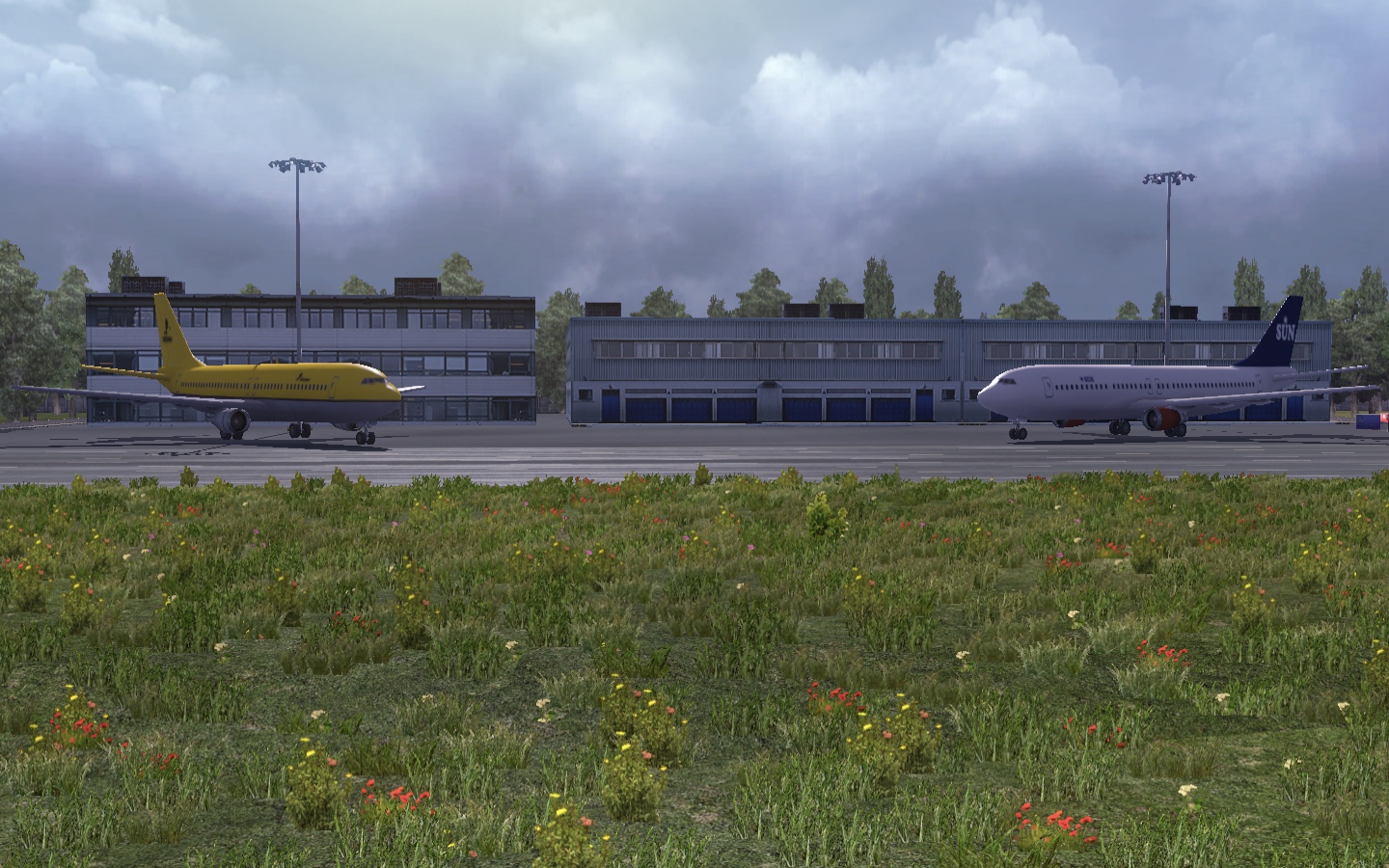 Image by AndreTrindade01