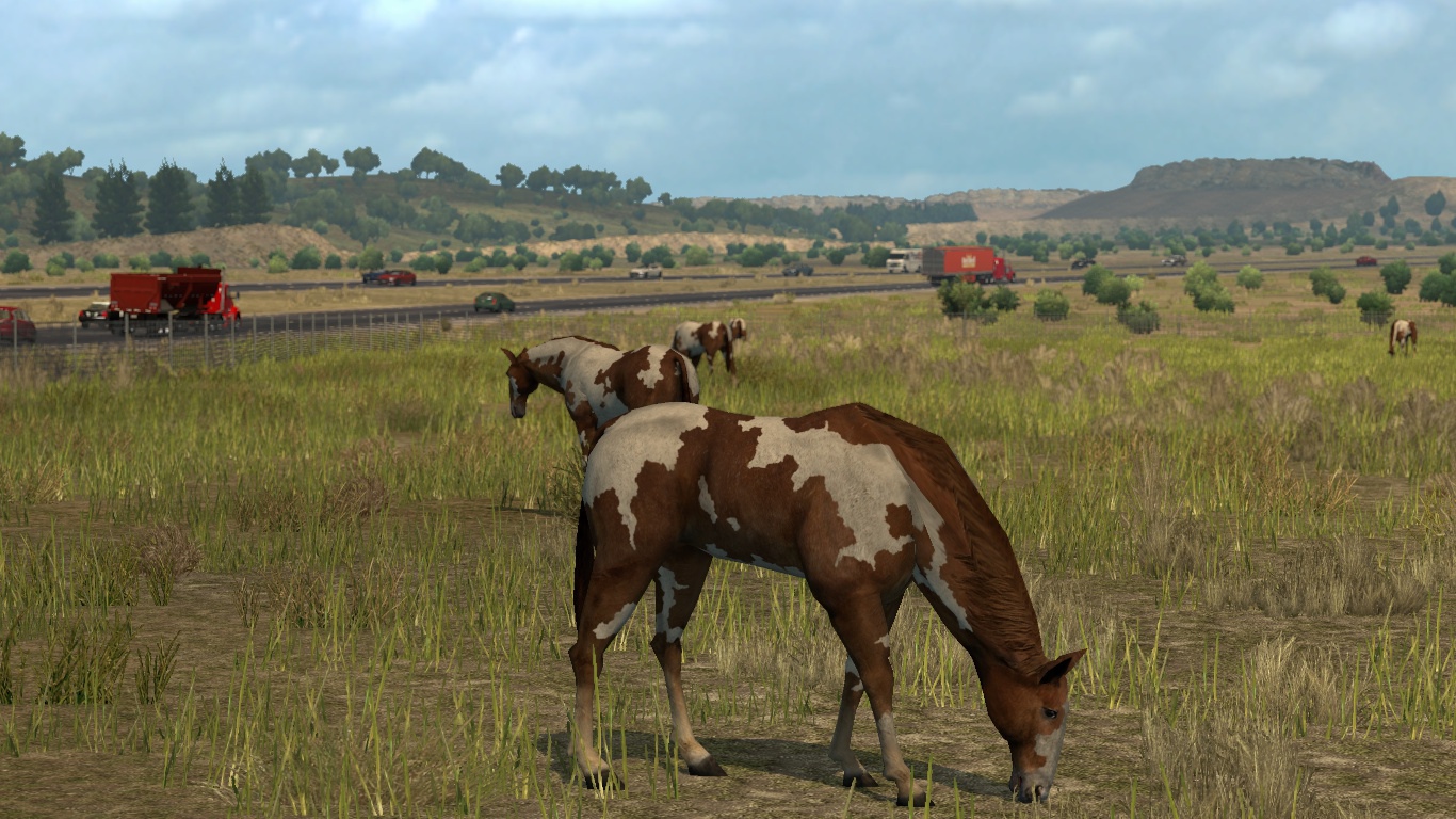 Image by lucasribeiro21