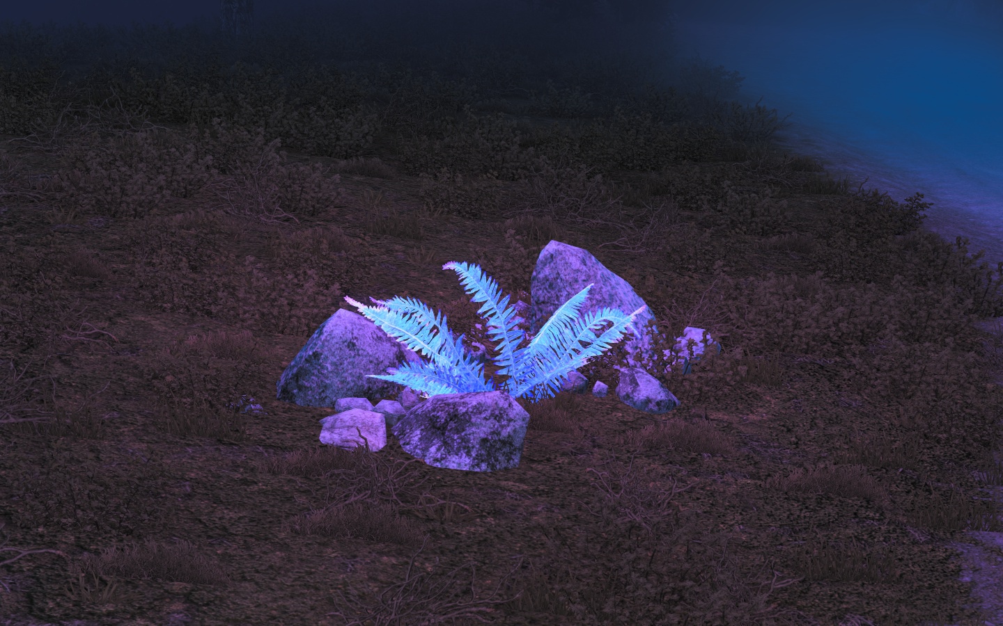 Image by wangshh5204