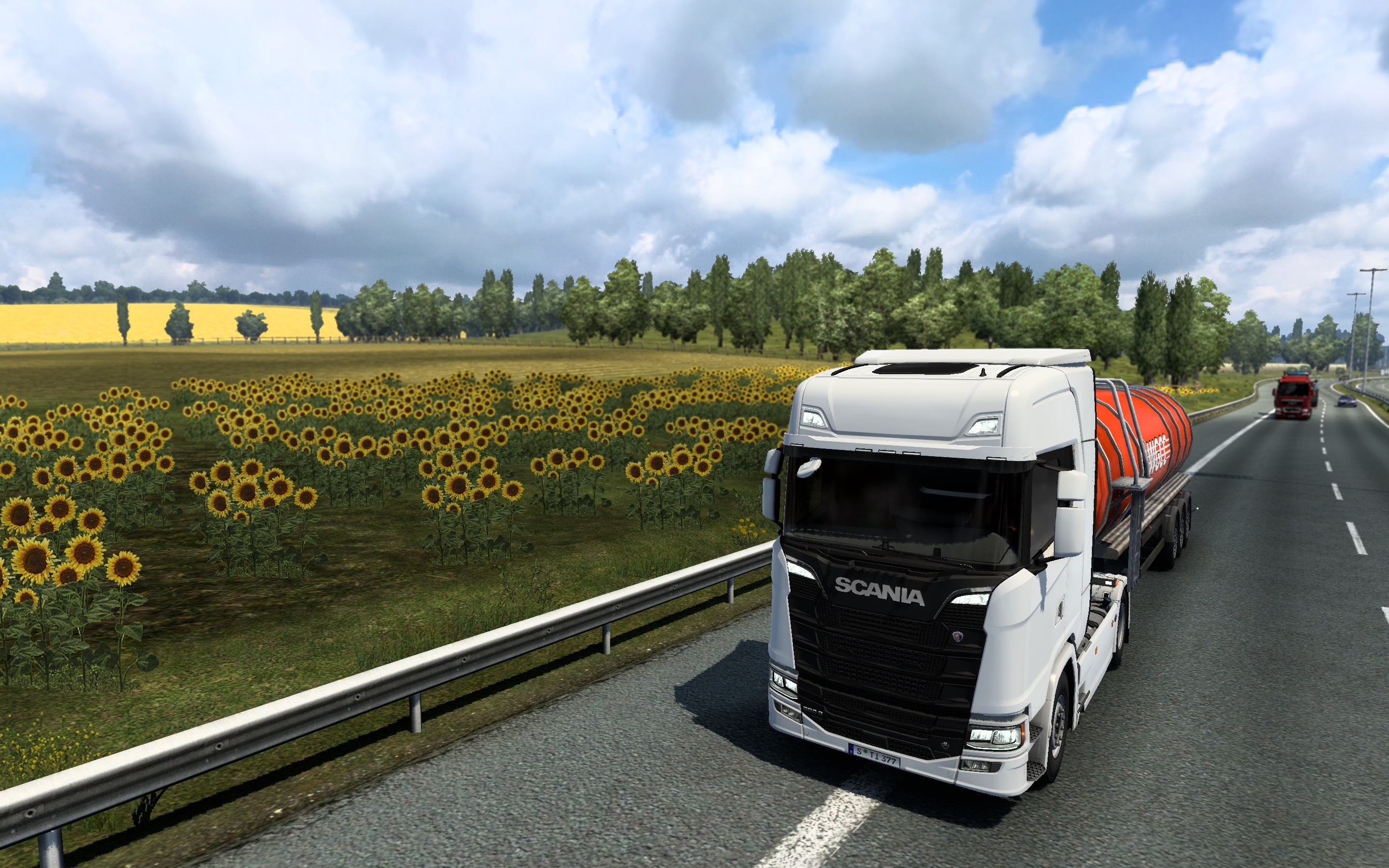 Image by Sarisinkavala