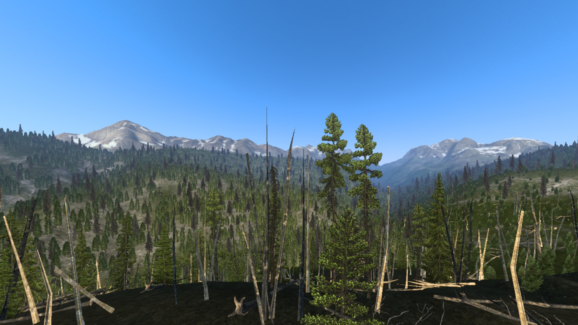 Image by toddr037