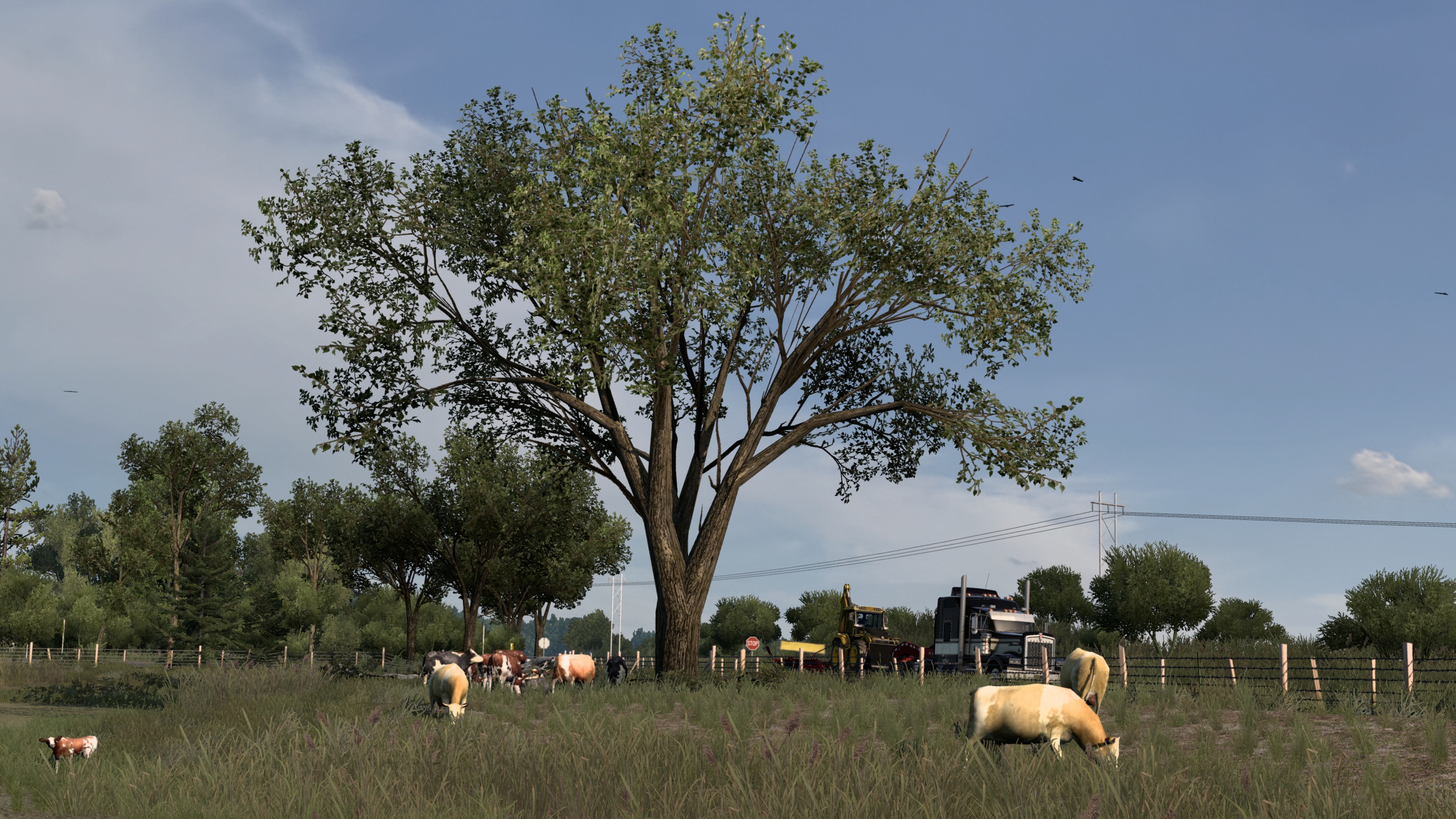 Image by British_Trucker