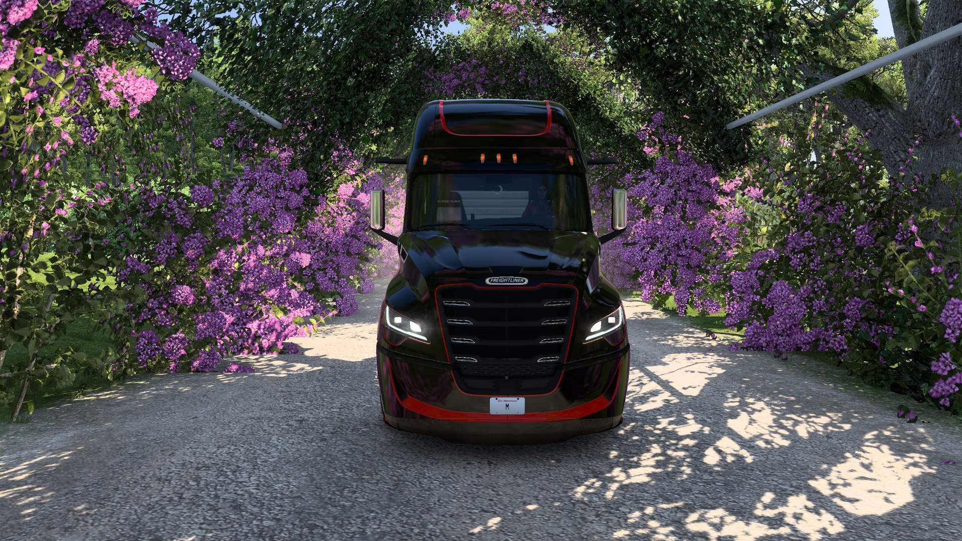 Image by 7DeadPixels