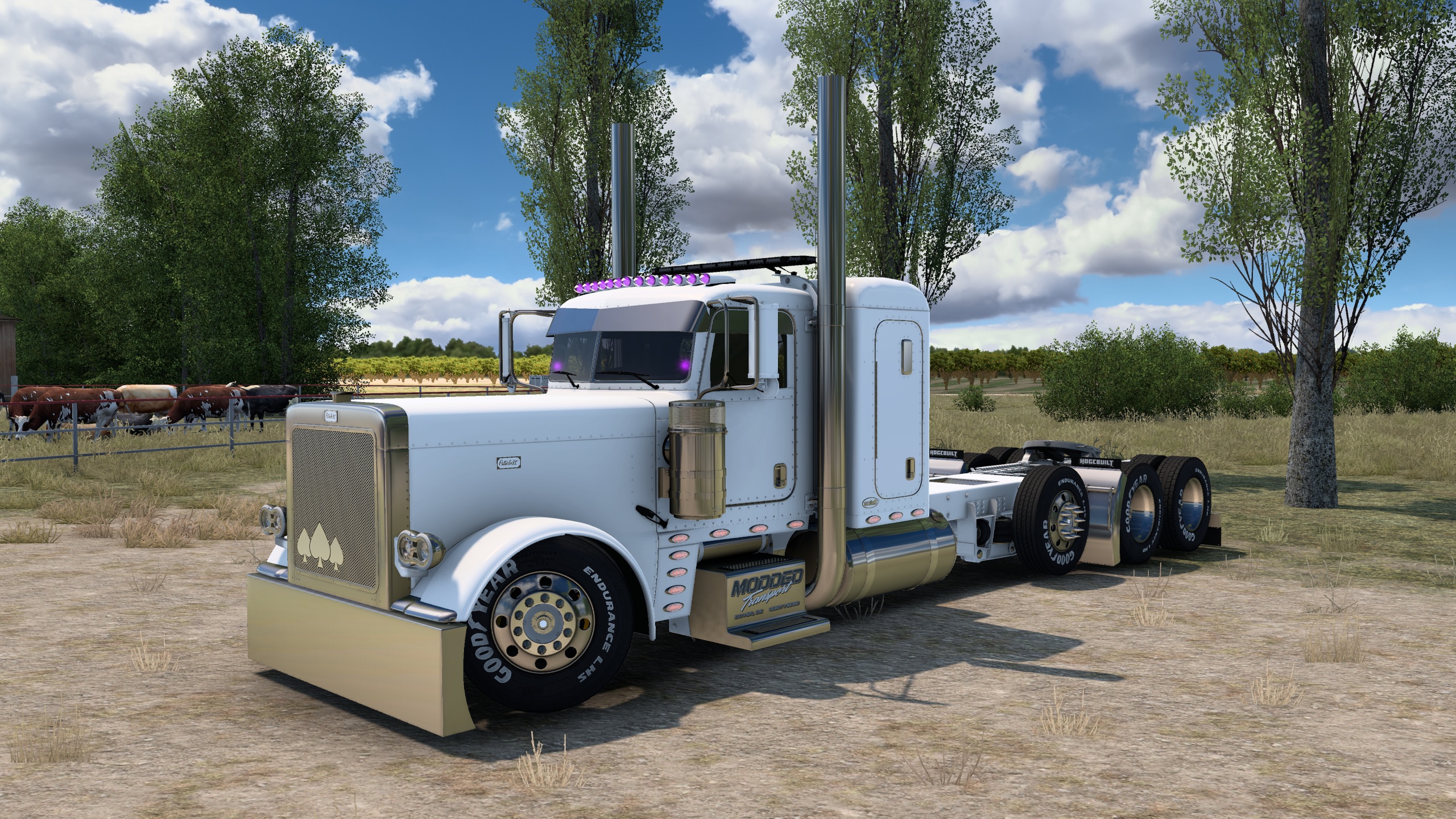 Image by snapon_trucker