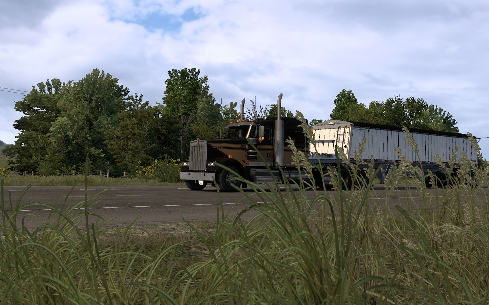 Image by realeastfox