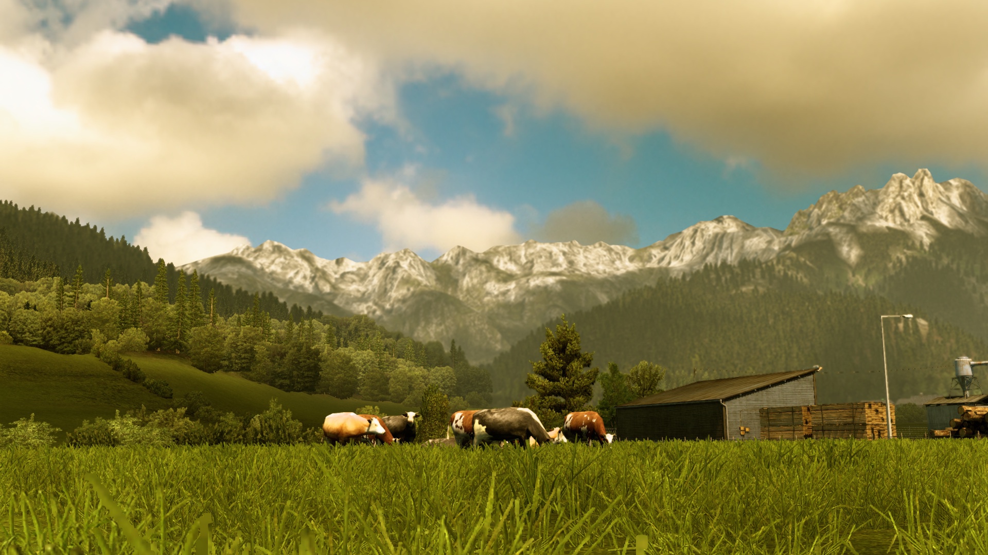 Image by river_knight07